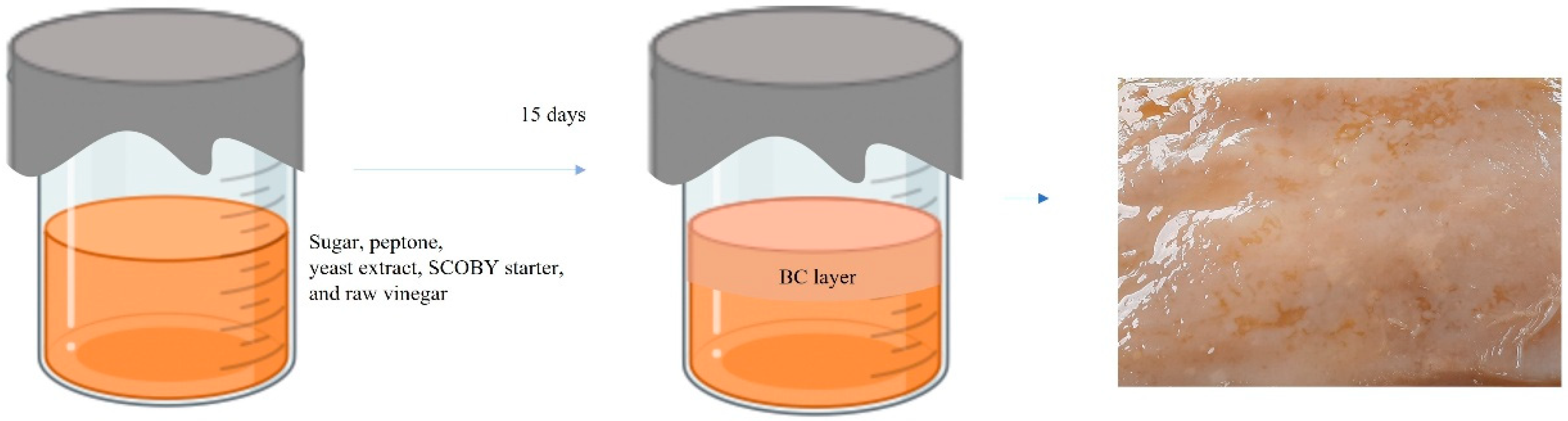 Polymers 14 04544 g001 Polymers 14 04544 g001