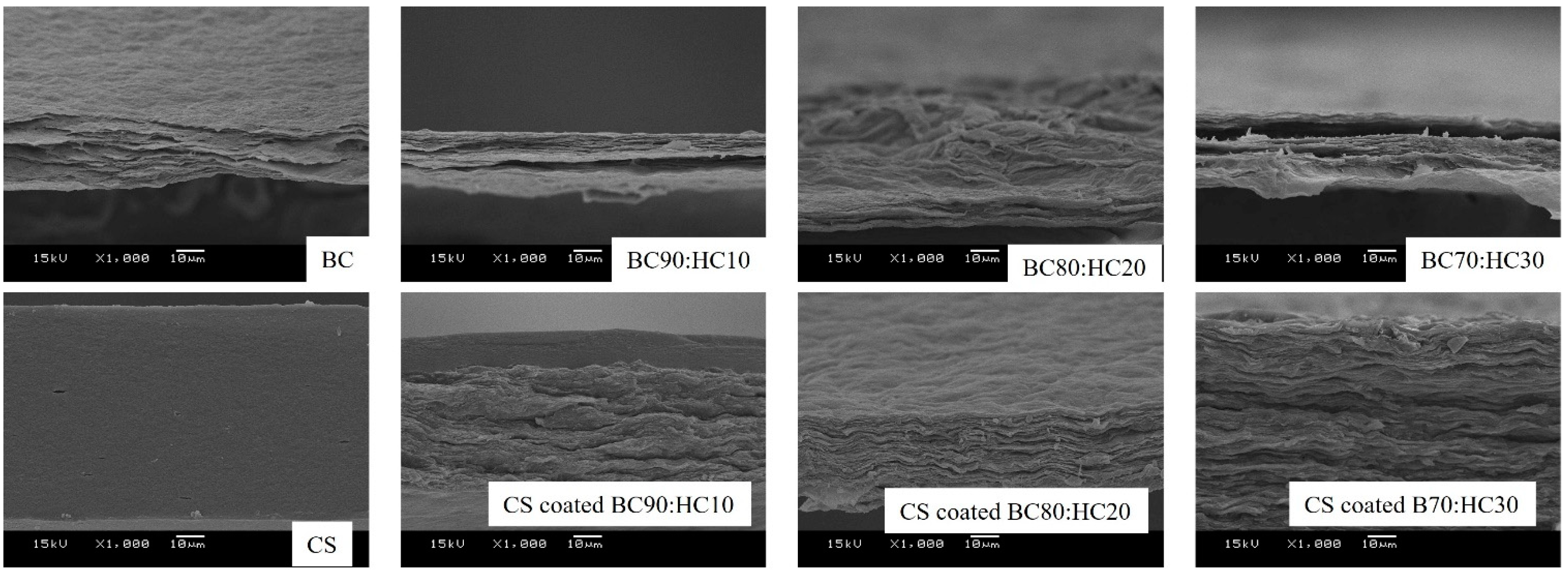 Polymers 14 04544 g003 Polymers 14 04544 g003
