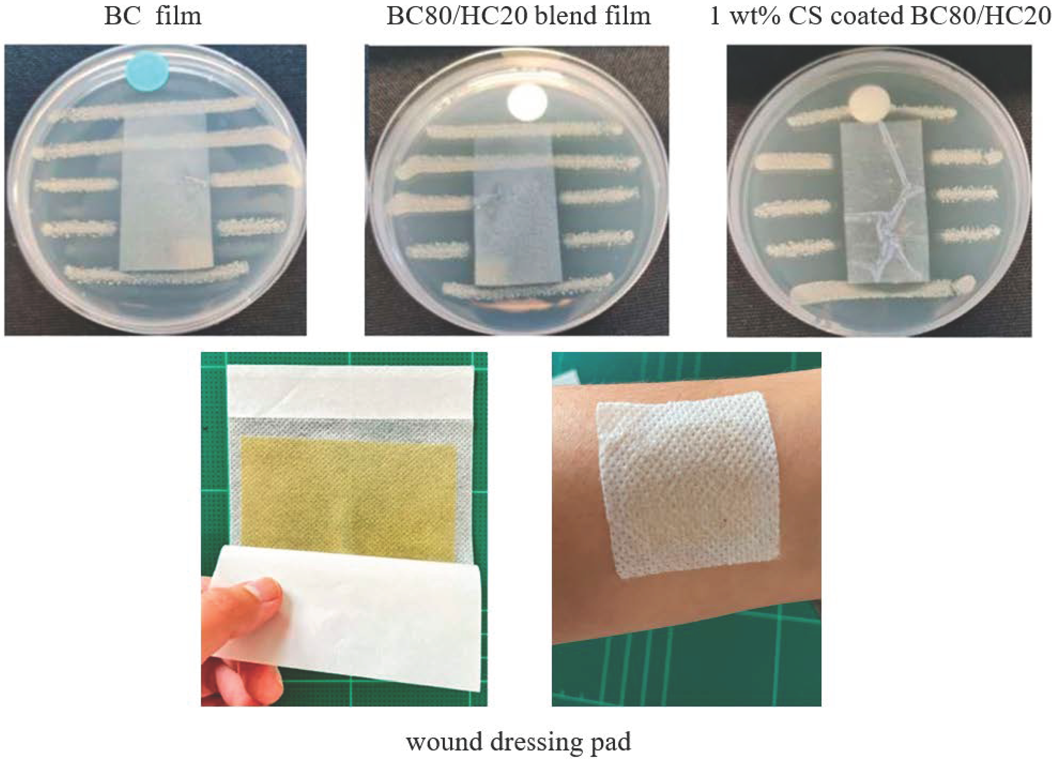Polymers 14 04544 g006 Polymers 14 04544 g006
