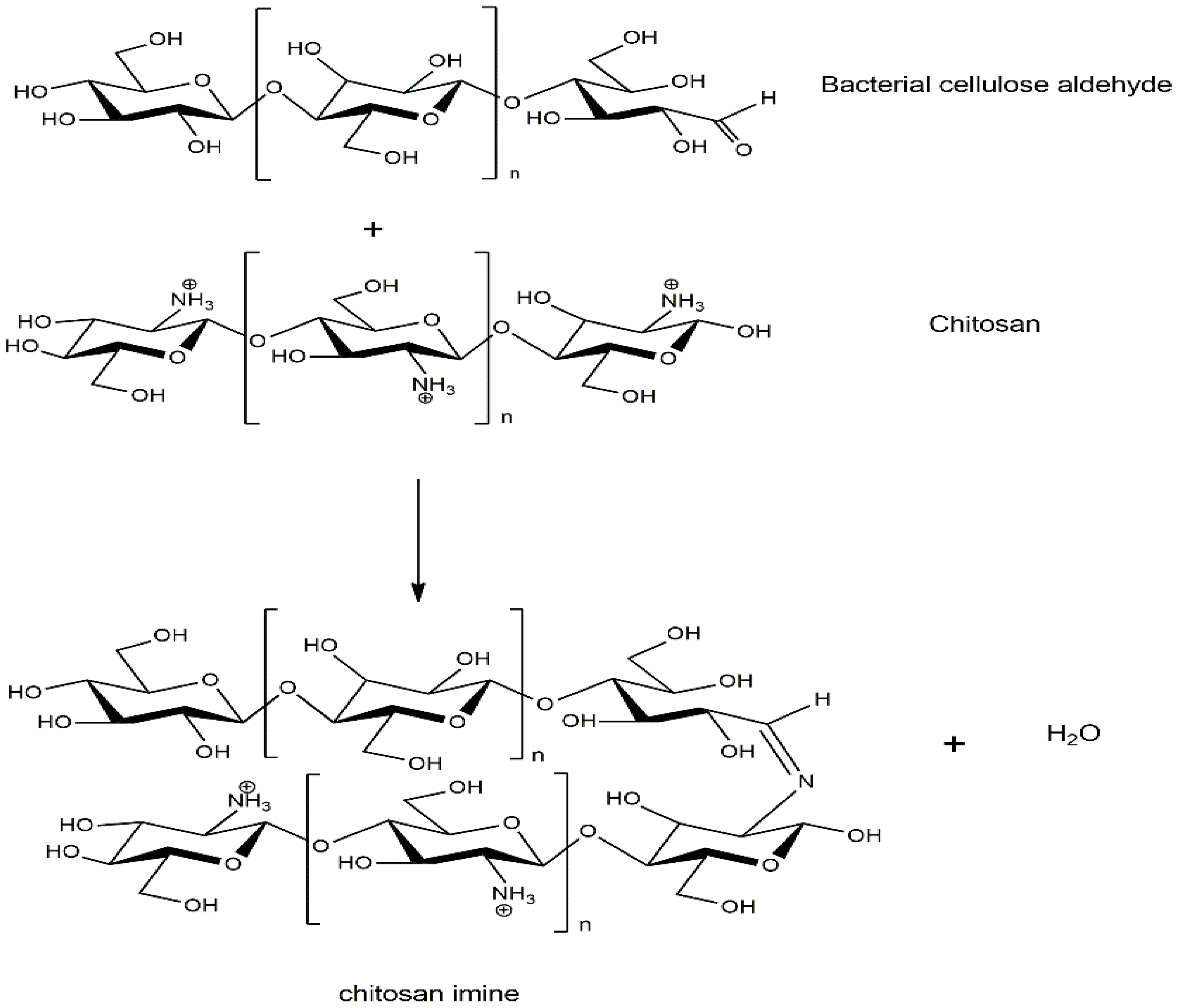 Polymers 14 04544 sch001 Polymers 14 04544 sch001