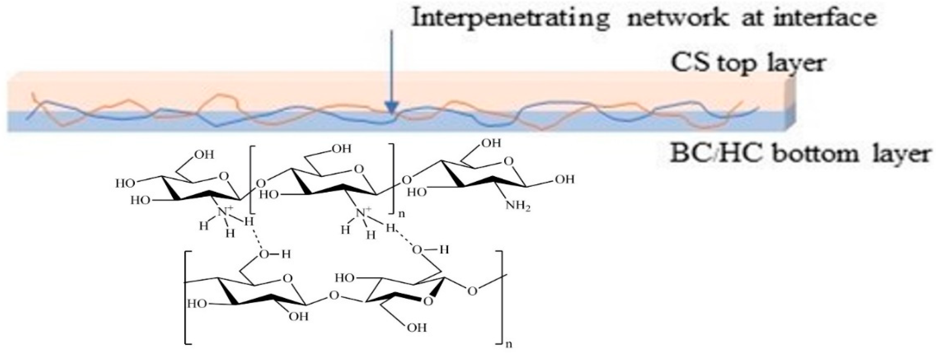 Polymers 14 04544 sch002 Polymers 14 04544 sch002