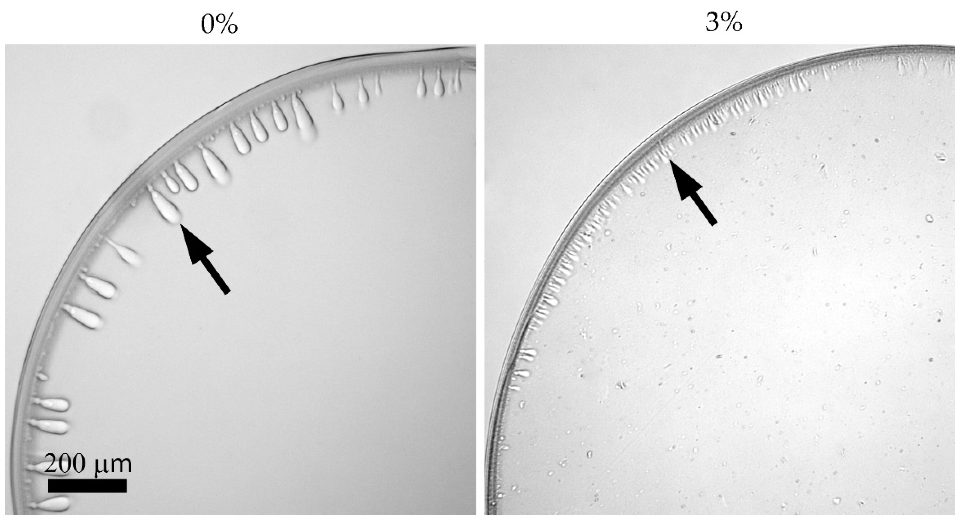 Polymers 14 04548 g012 Polymers 14 04548 g012