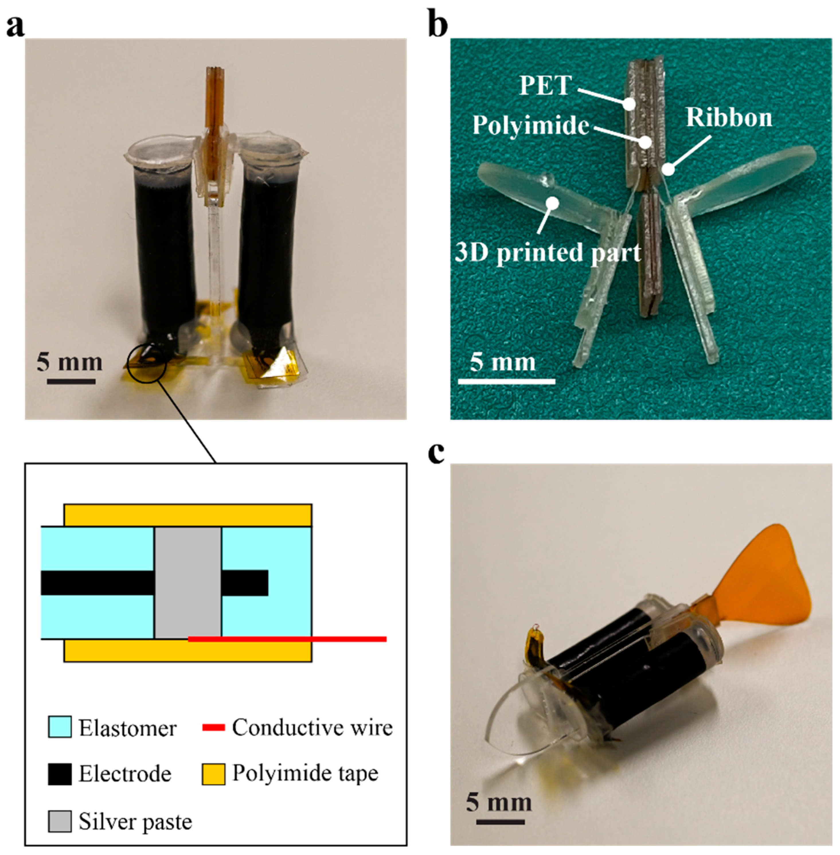 Polymers 14 04549 g005