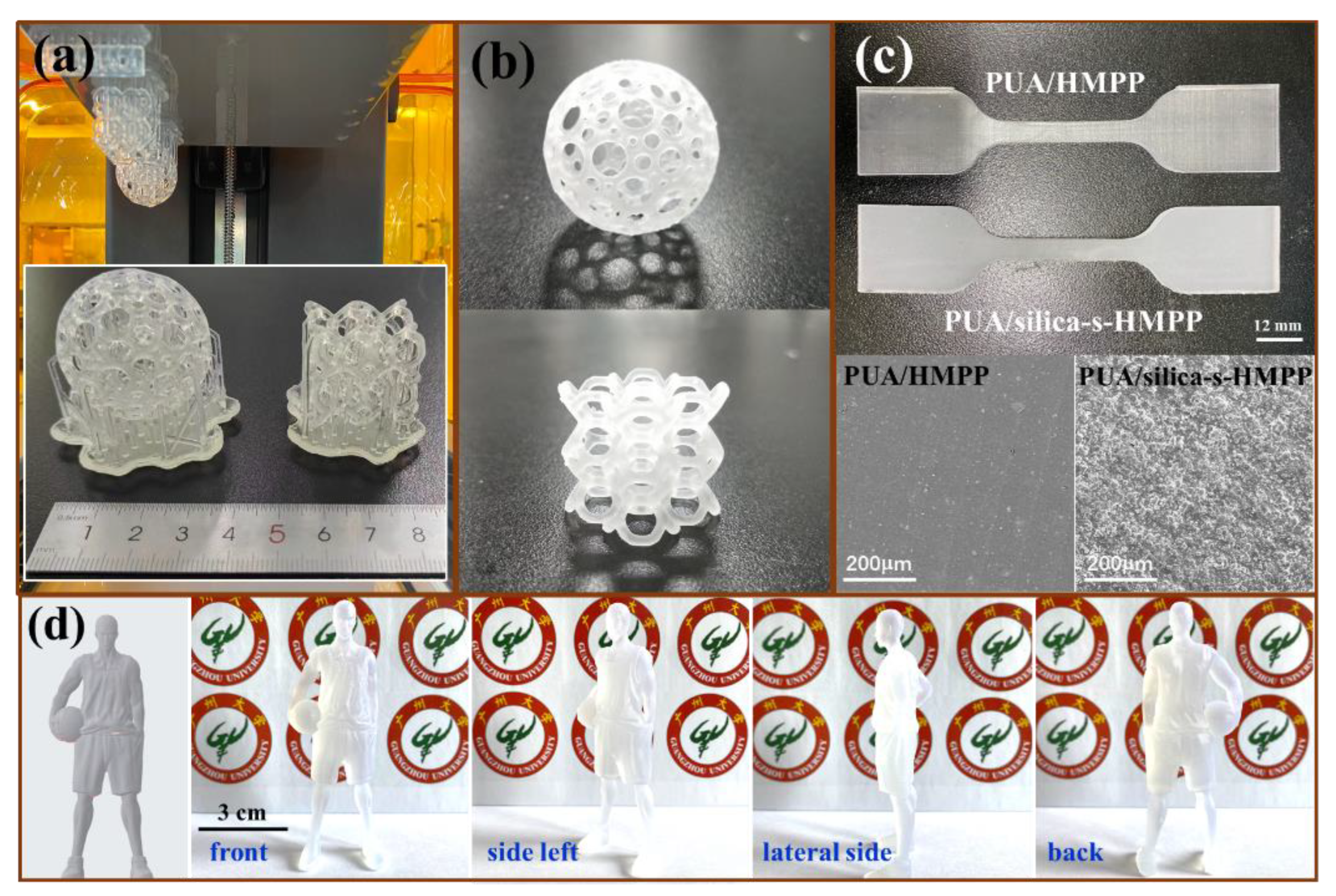 Polymers 14 04551 g006