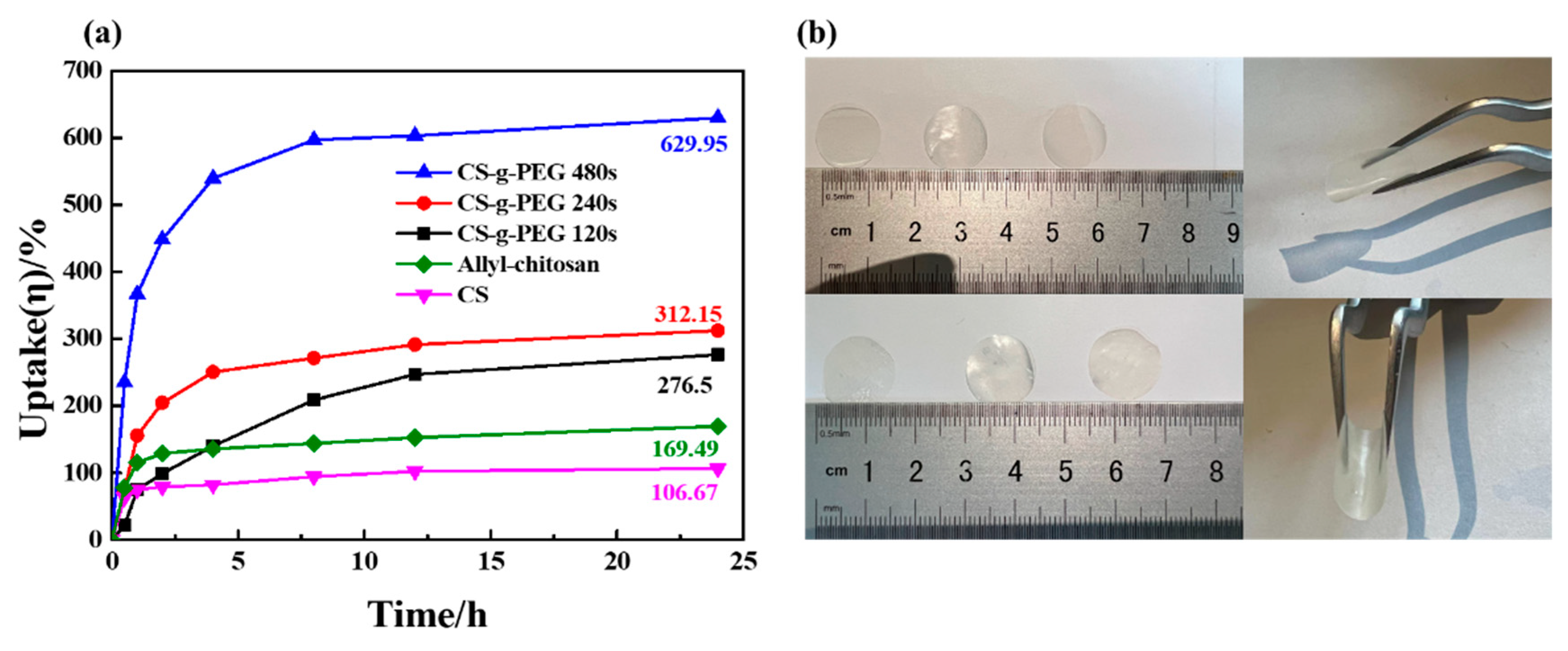Polymers 14 04552 g004 Polymers 14 04552 g004