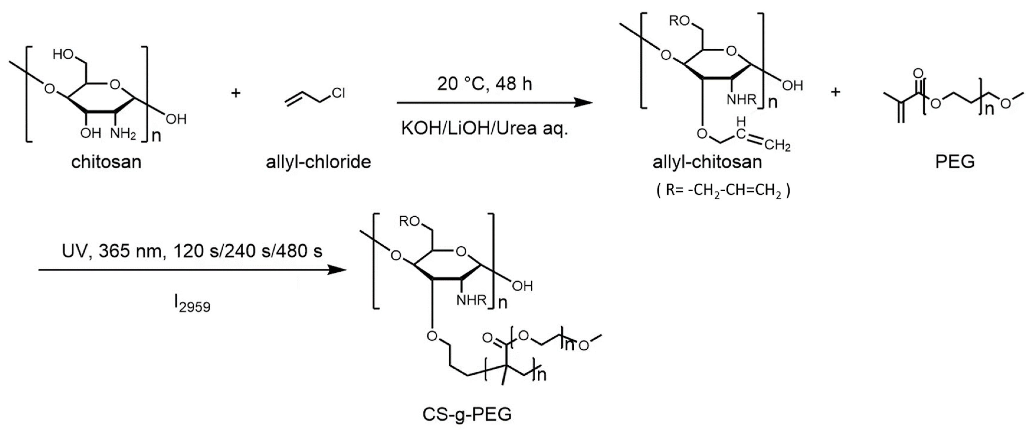 Polymers 14 04552 sch001 Polymers 14 04552 sch001