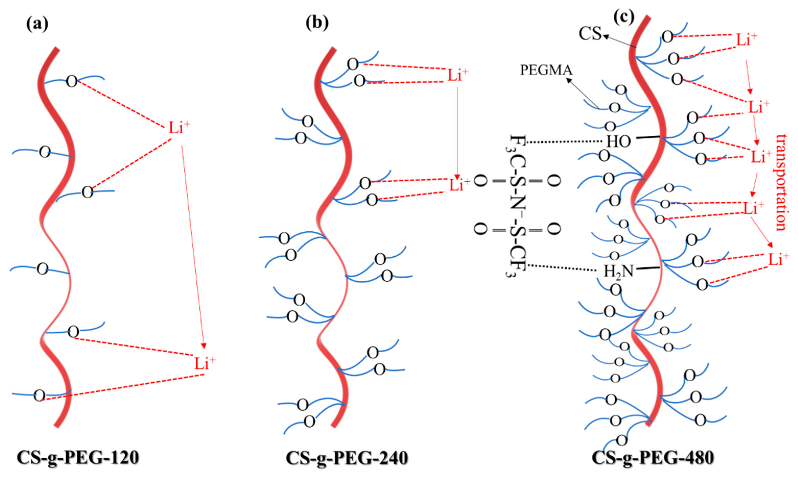 Polymers 14 04552 sch002 Polymers 14 04552 sch002