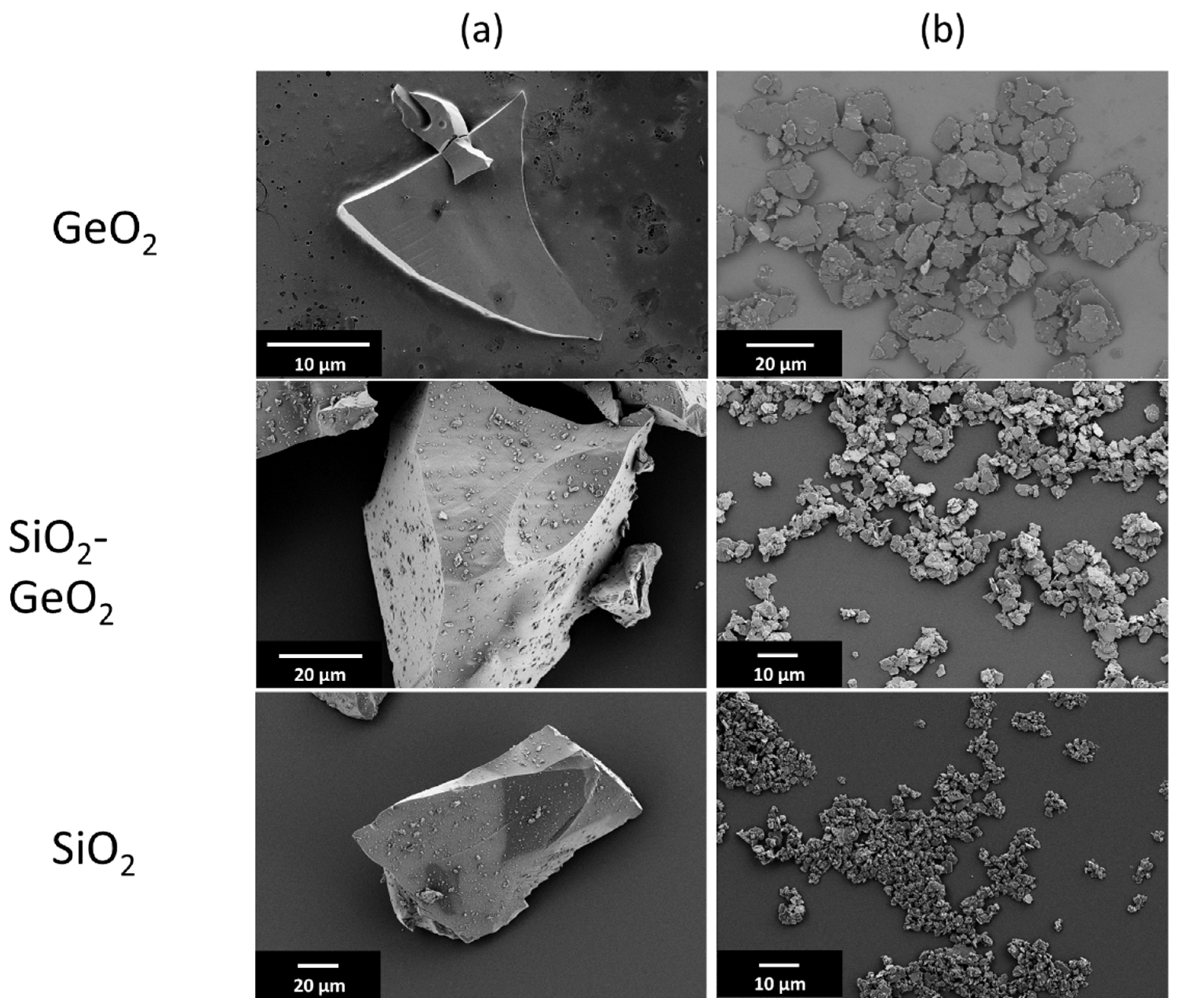 Polymers 14 04555 g002