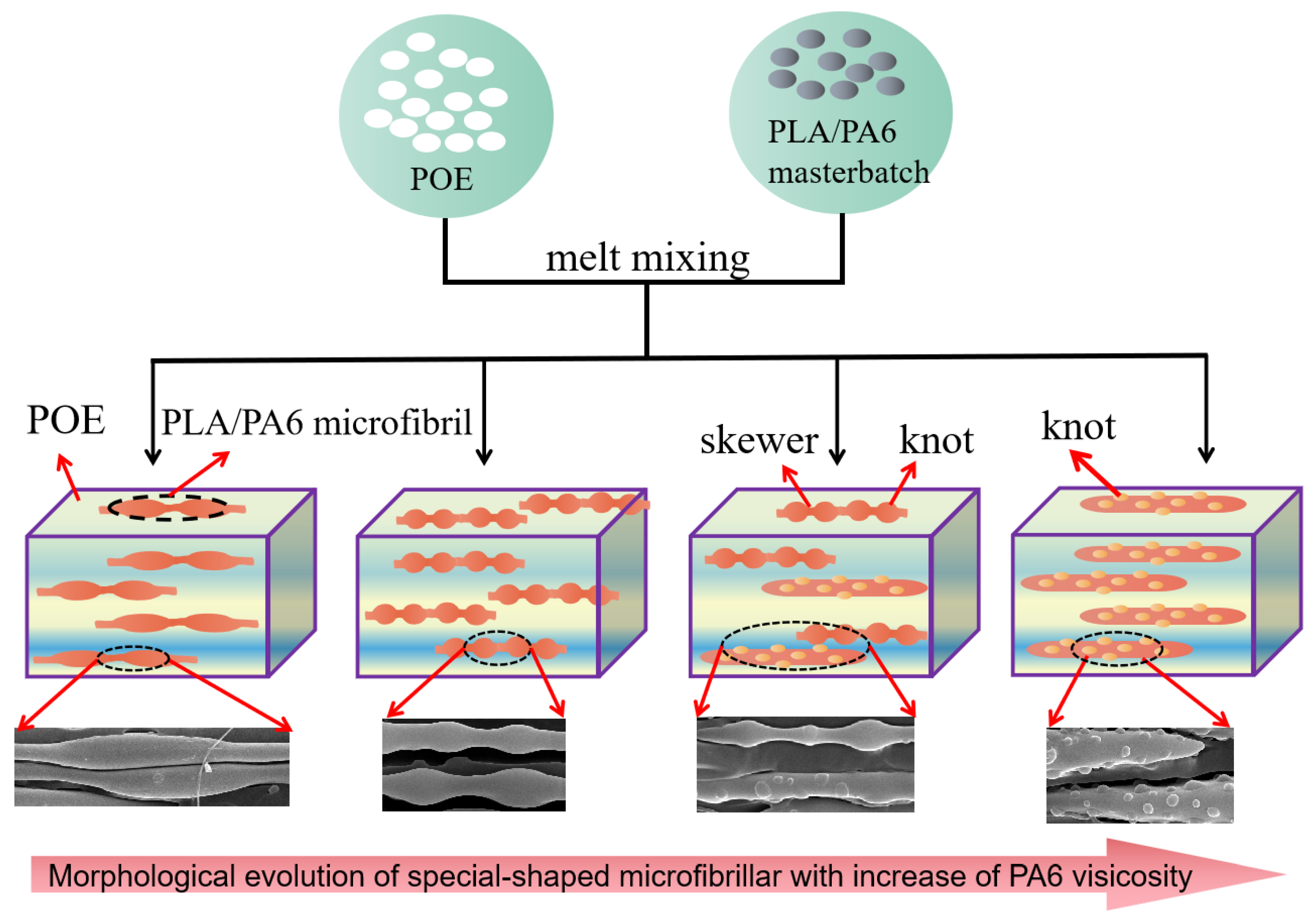 Polymers 14 04556 g003