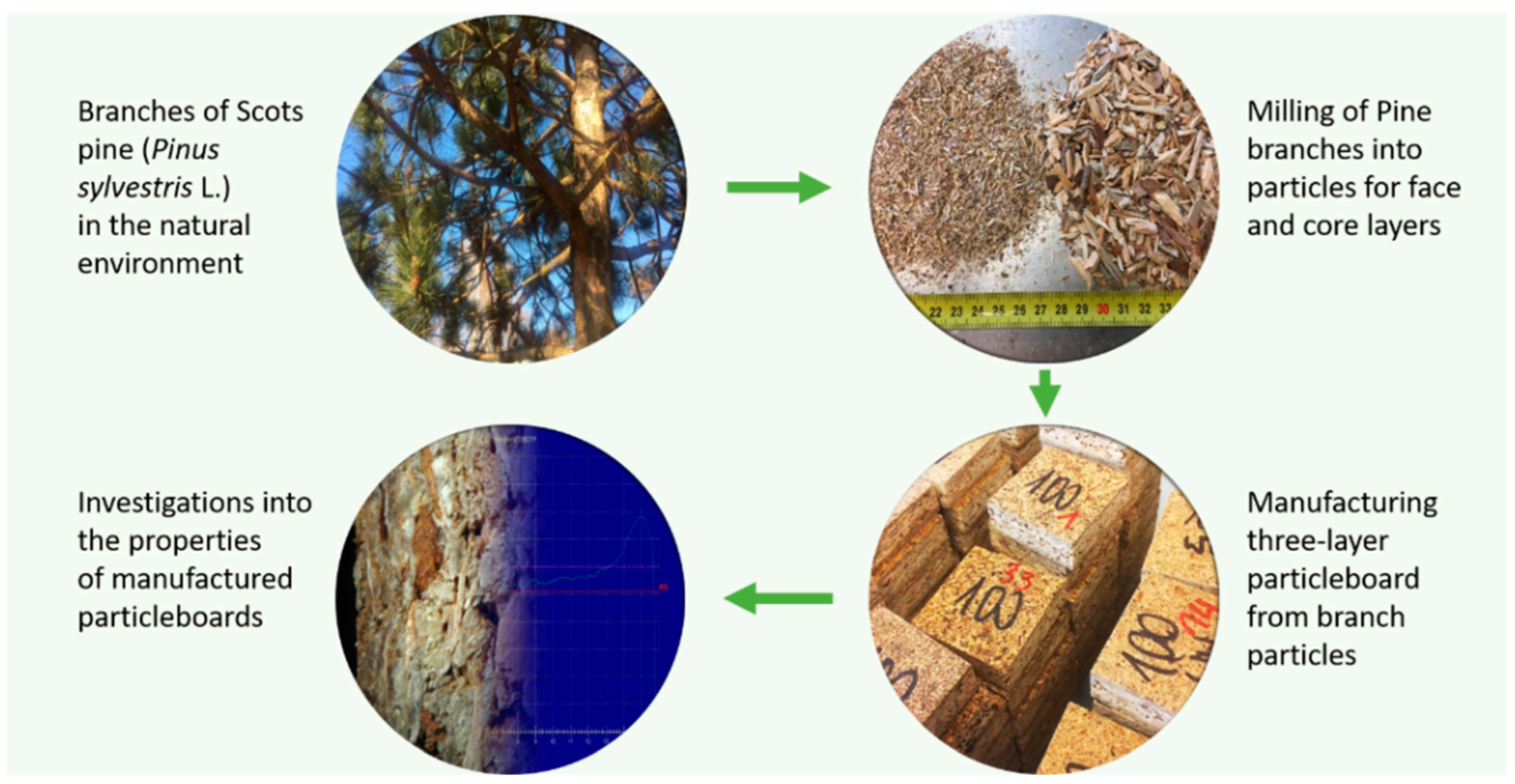 Polymers 14 04559 g002