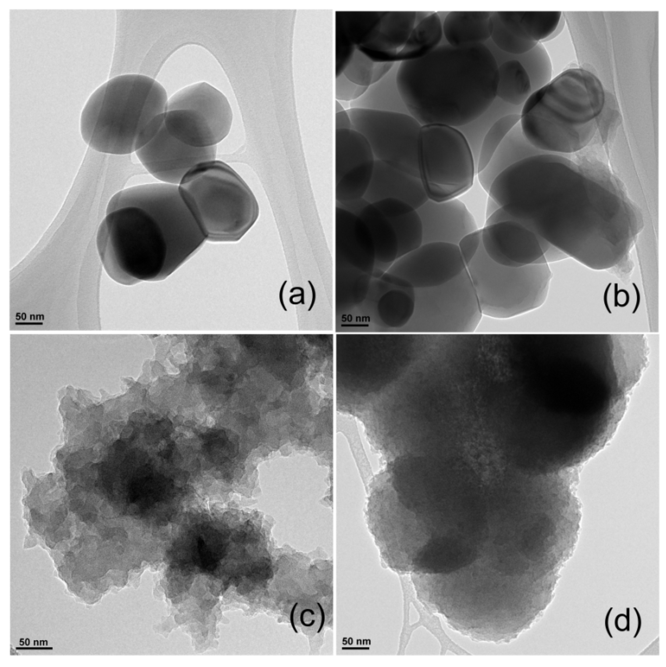 Polymers 14 04562 g005