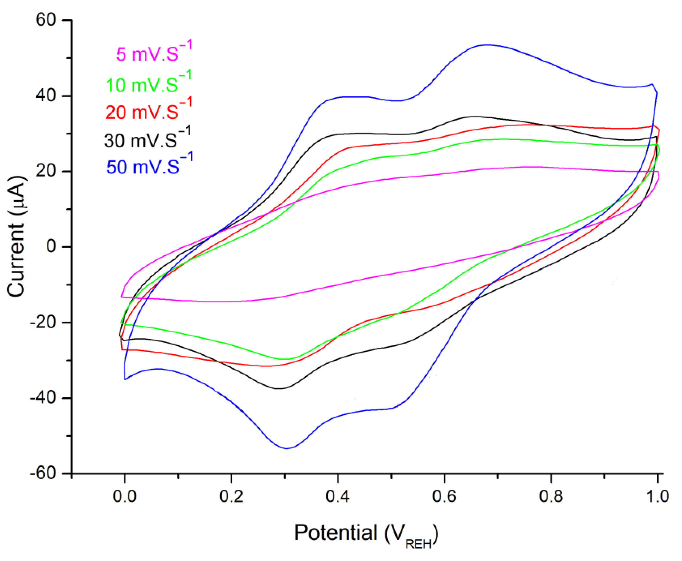 Polymers 14 04562 g009