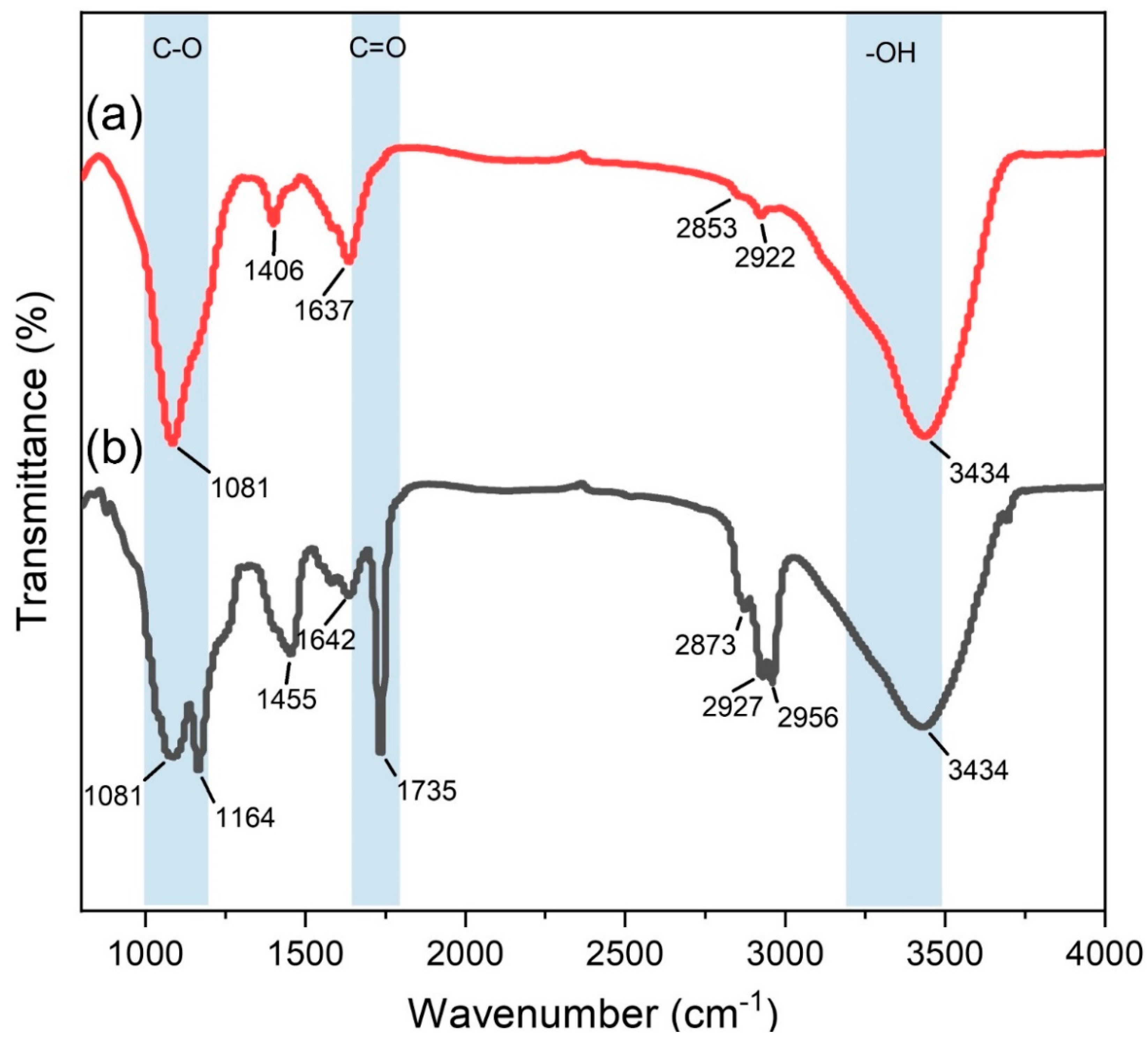 Polymers 14 04565 g002