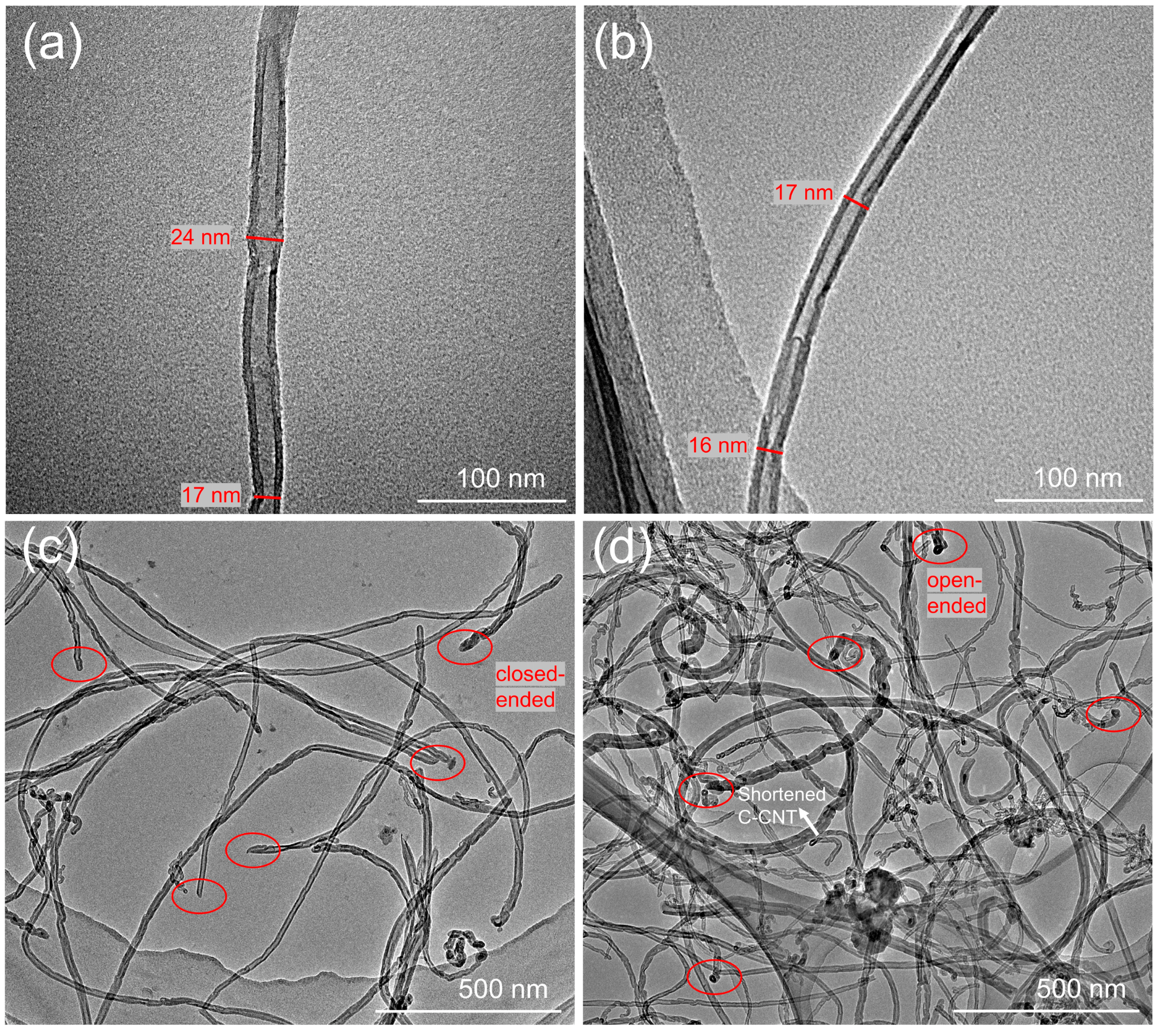 Polymers 14 04565 g005