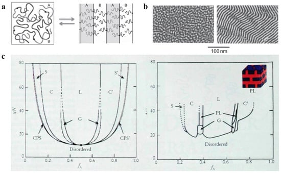 Polymers 14 04568 g001