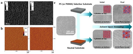 Polymers 14 04568 g004