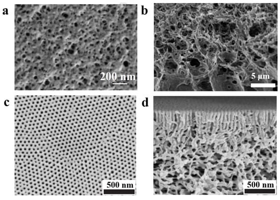 Polymers 14 04568 g005