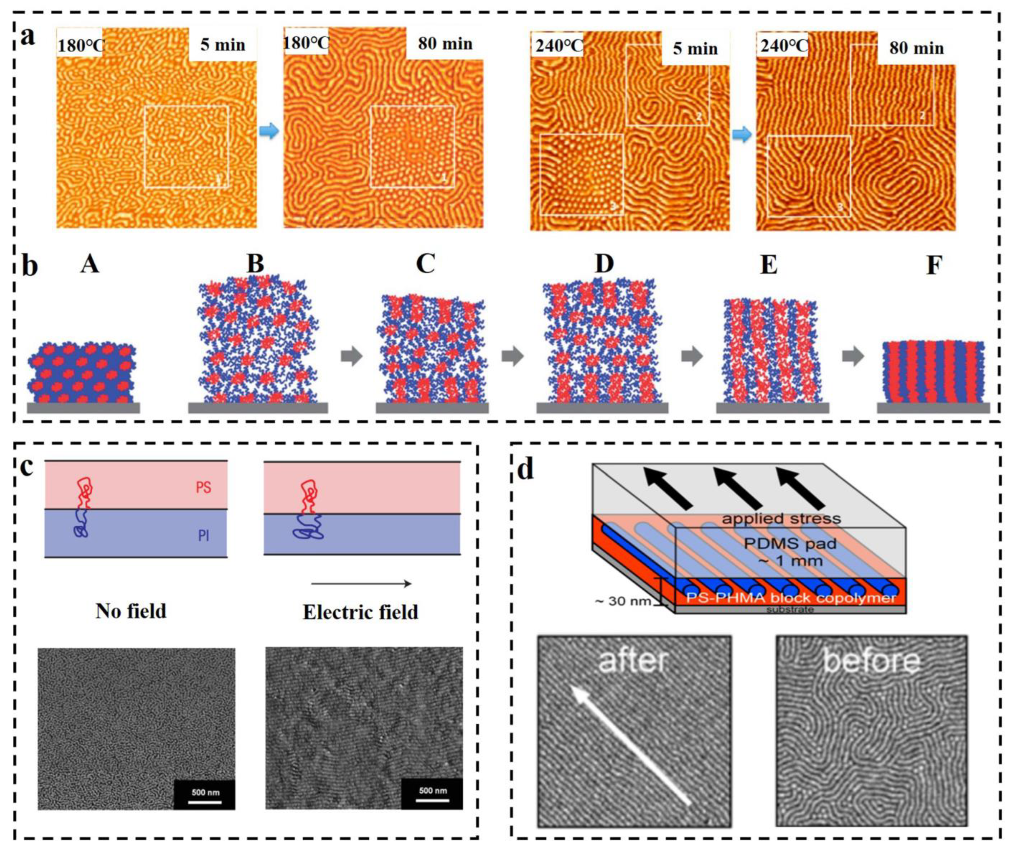 Polymers 14 04568 g006