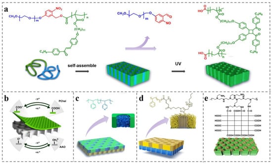 Polymers 14 04568 g008
