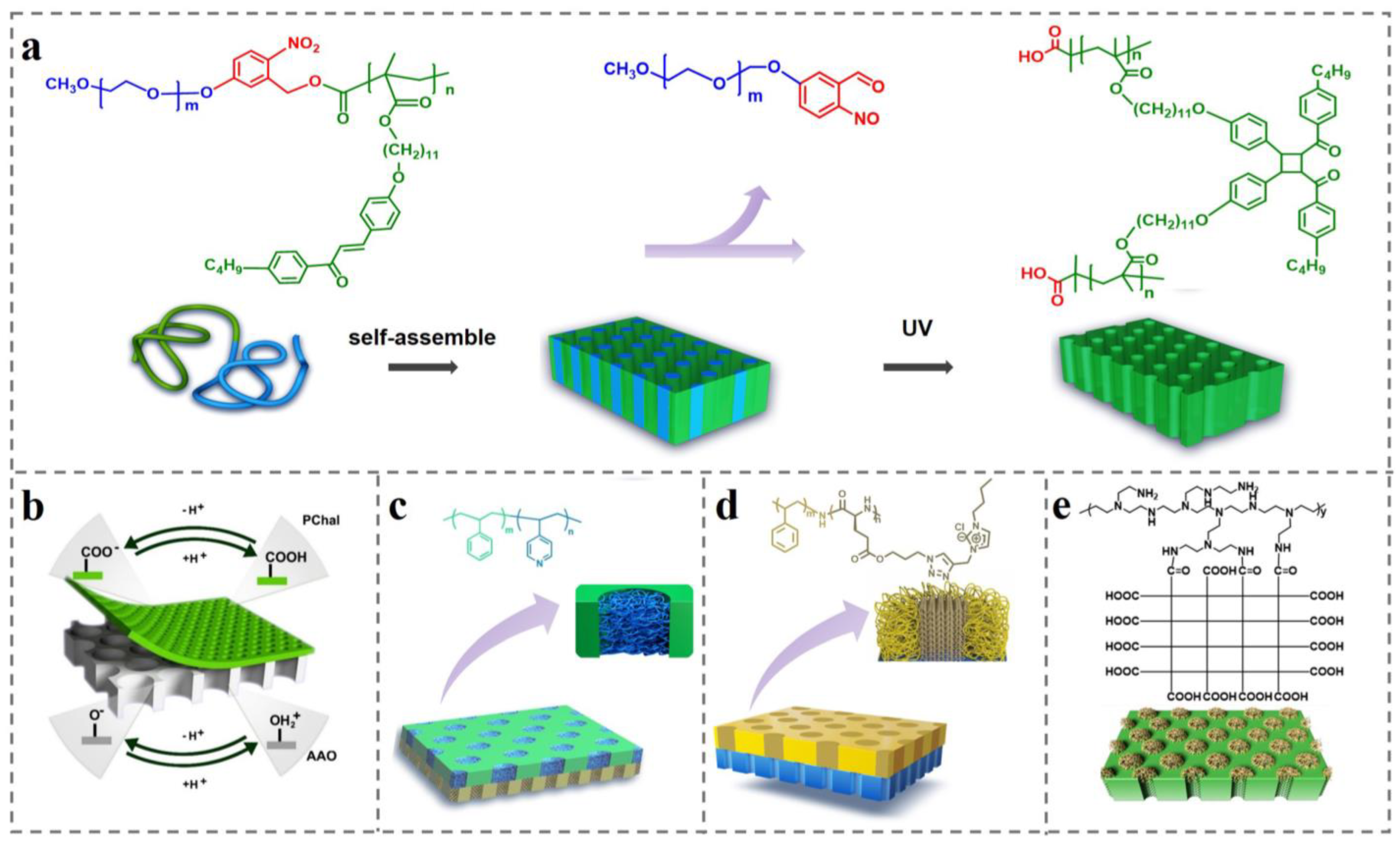 Polymers 14 04568 g008