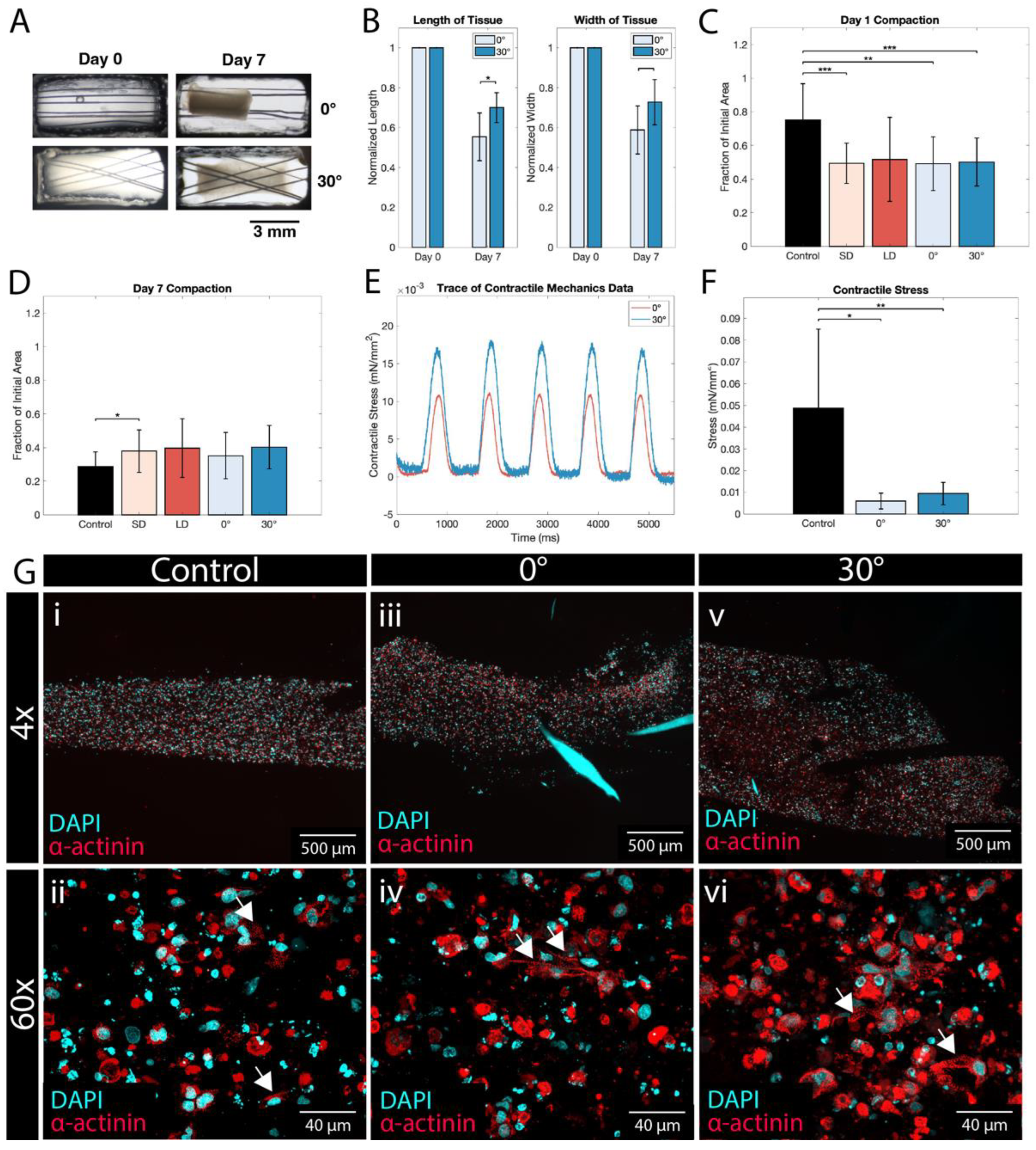 Polymers 14 04571 g005 Polymers 14 04571 g005