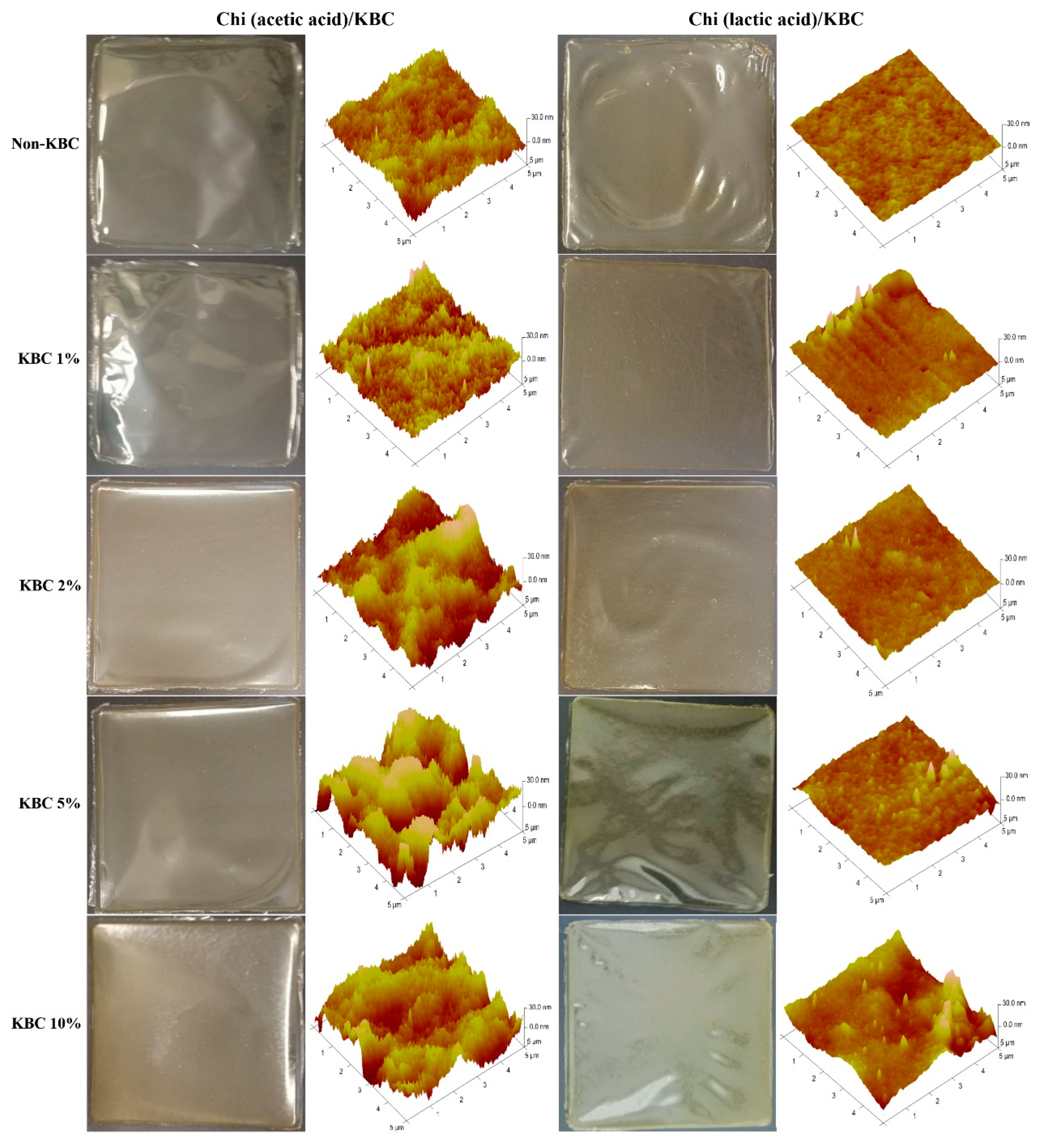 Polymers 14 04572 g002