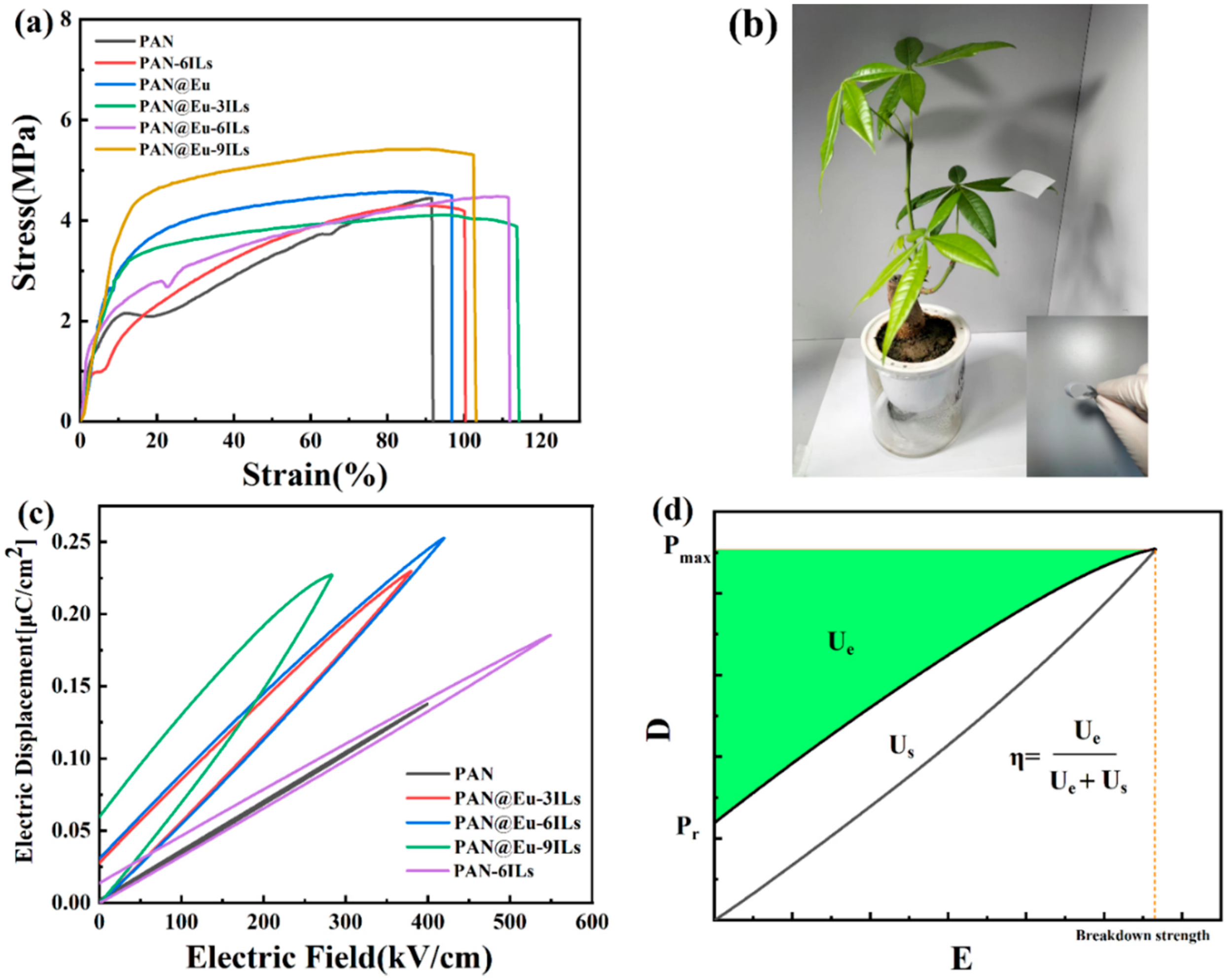 Polymers 14 04573 g009