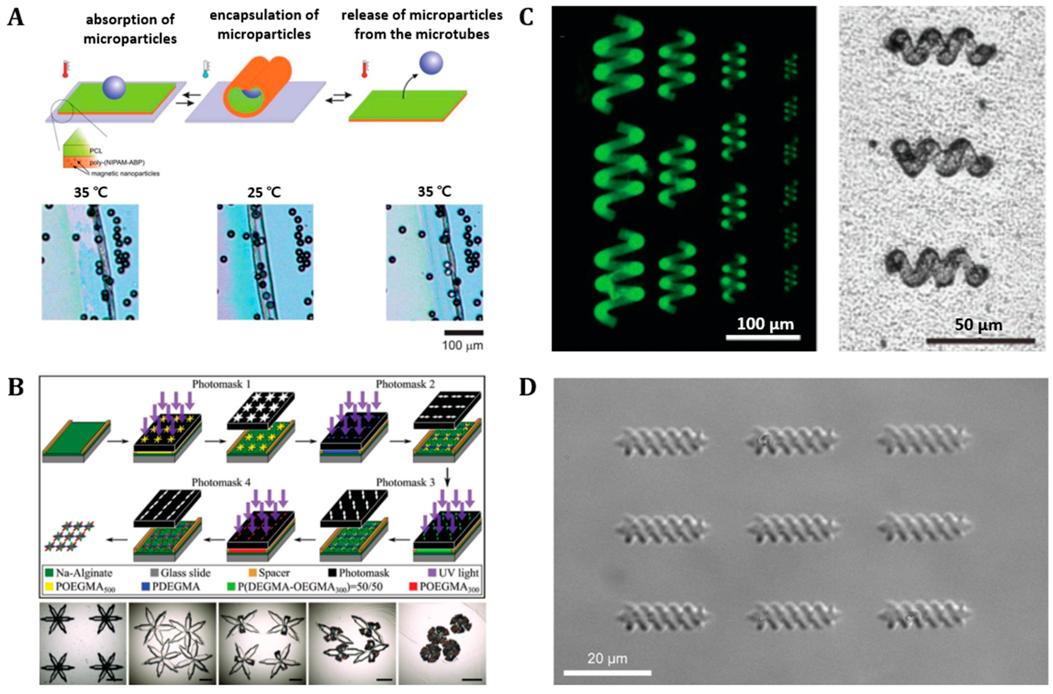 Polymers 14 04574 g002 Polymers 14 04574 g002