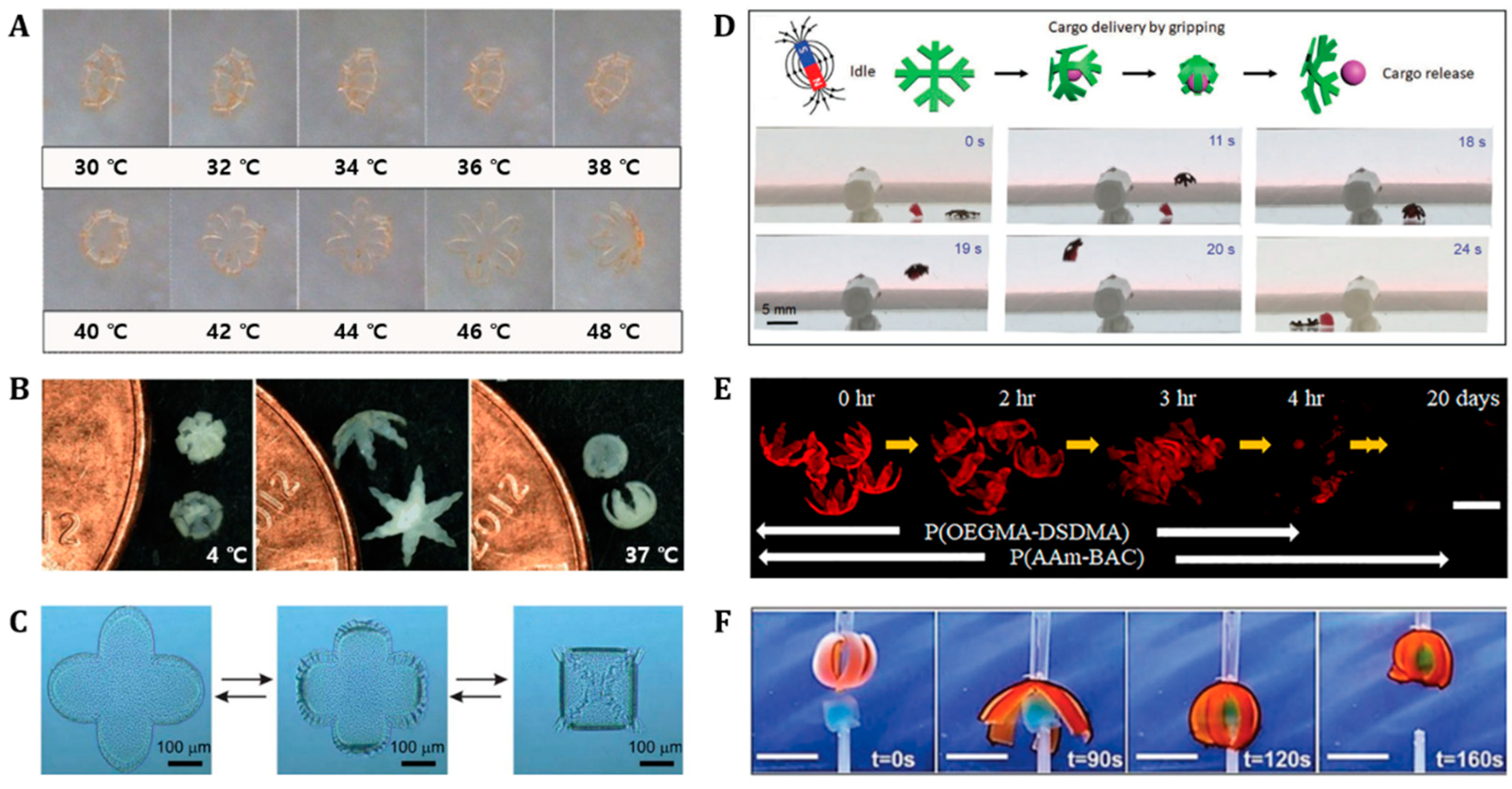 Polymers 14 04574 g005 Polymers 14 04574 g005