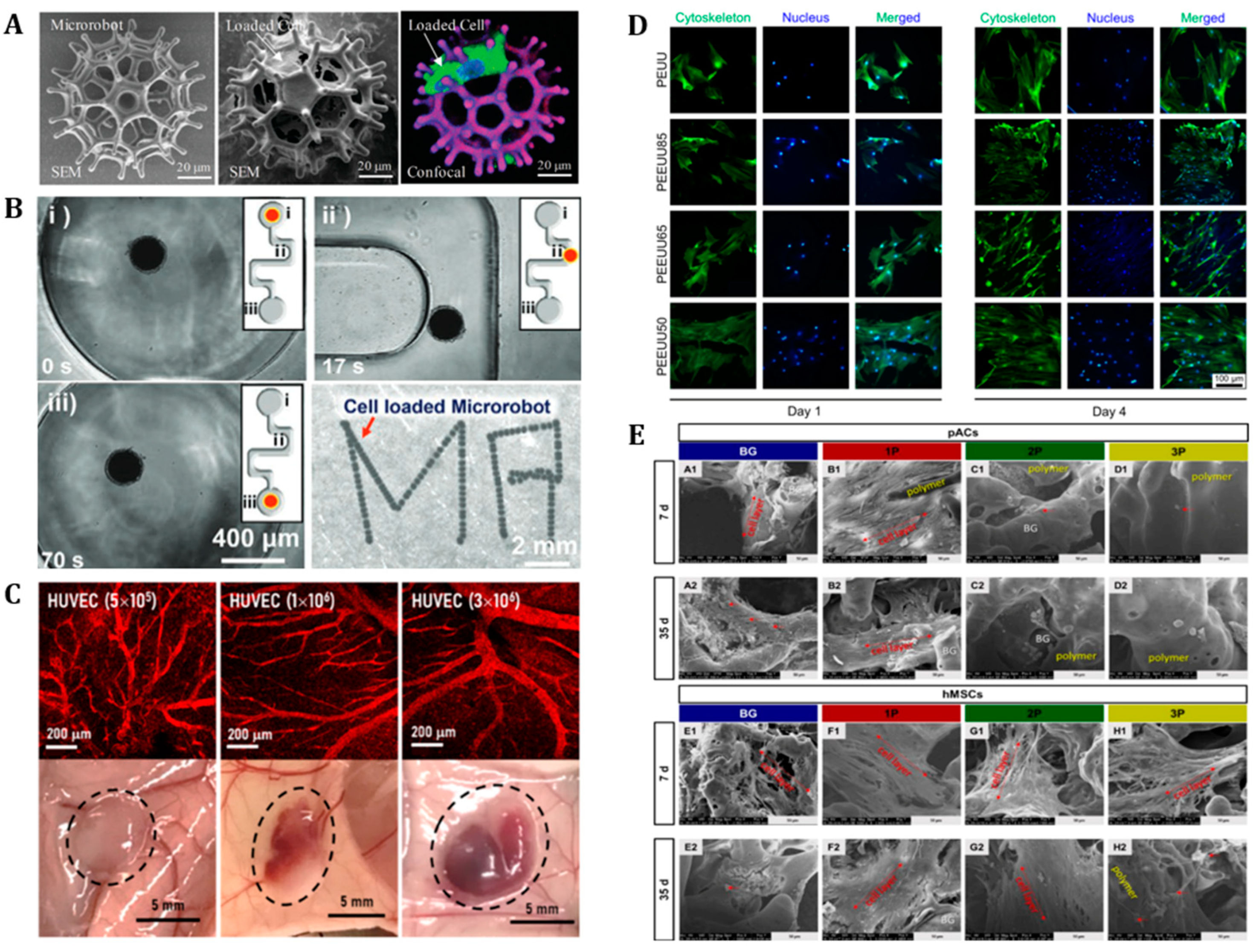 Polymers 14 04574 g006 Polymers 14 04574 g006