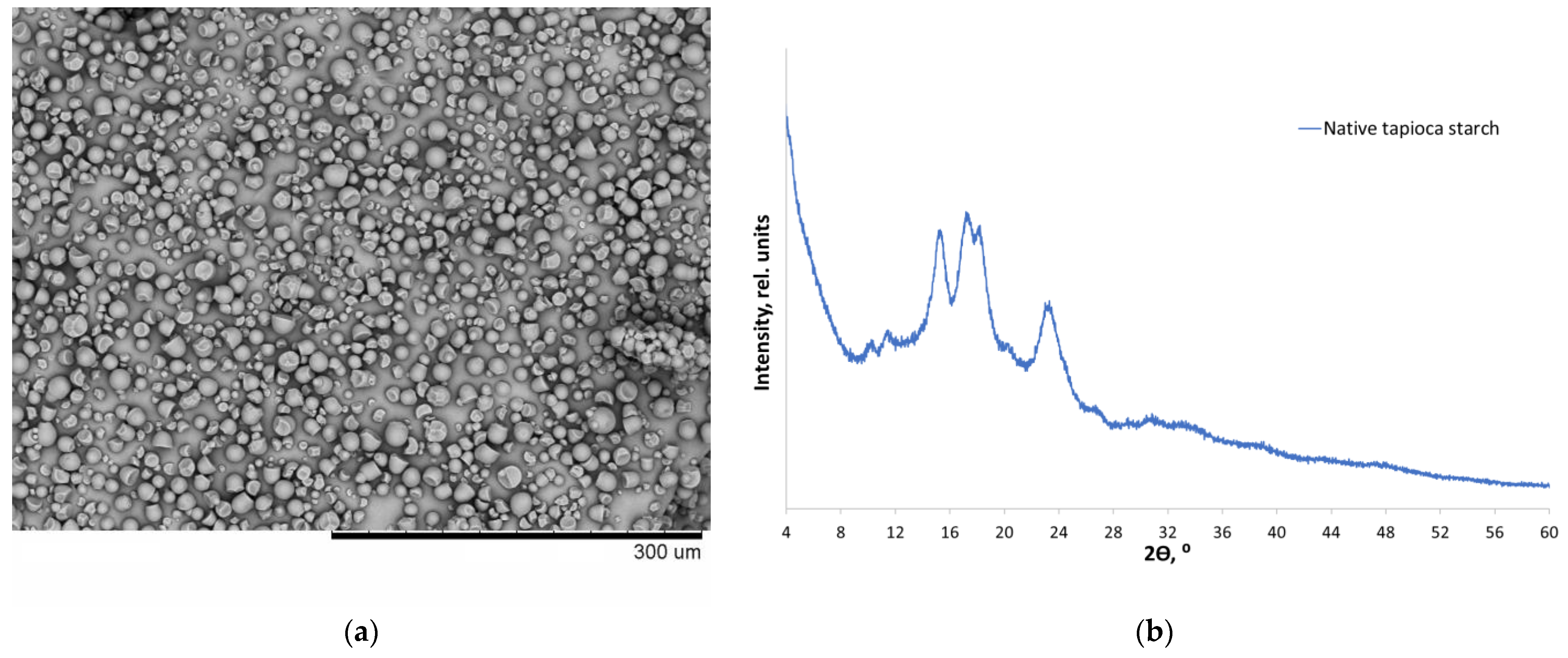 Polymers 14 04575 g001