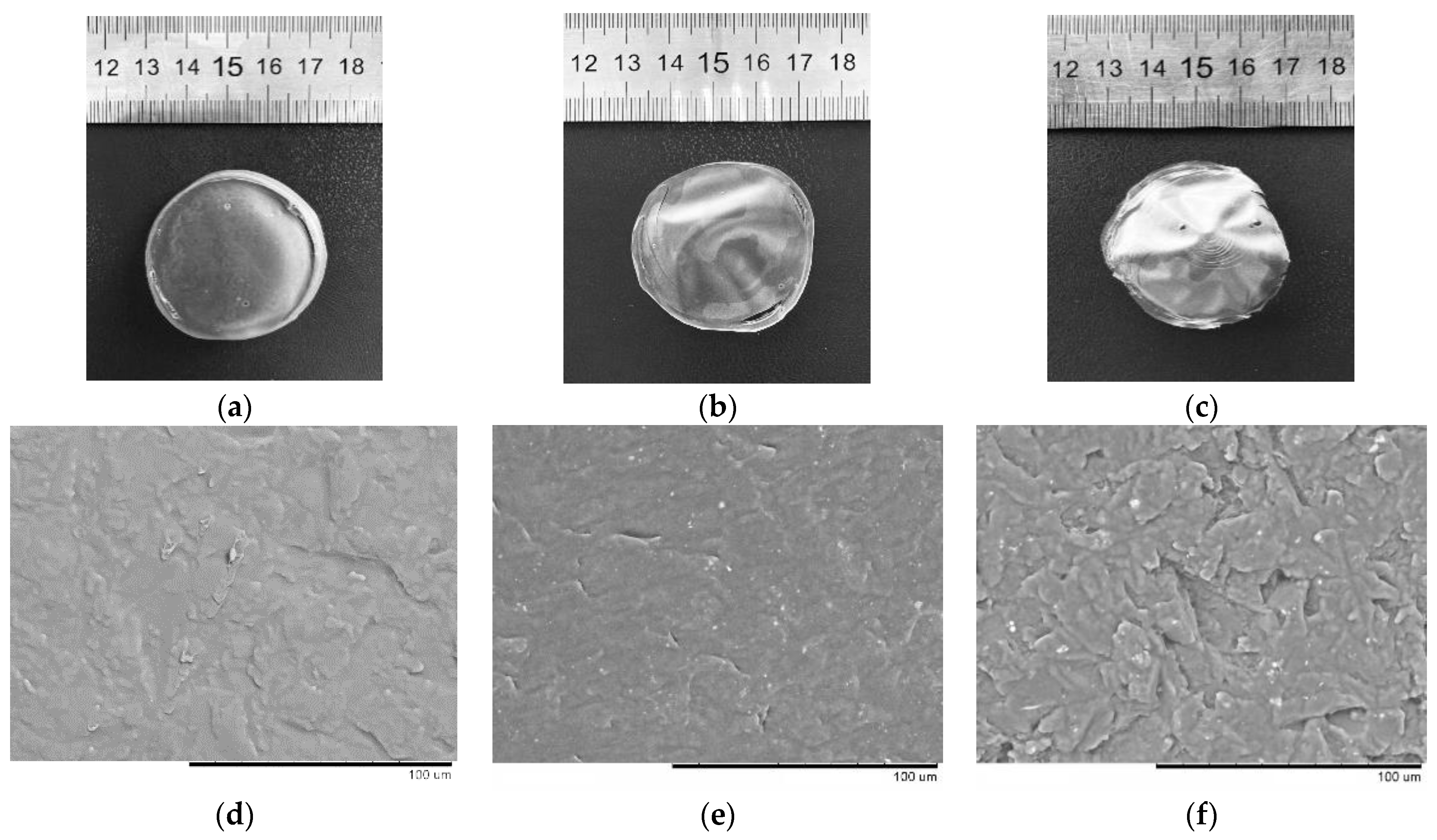 Polymers 14 04575 g002