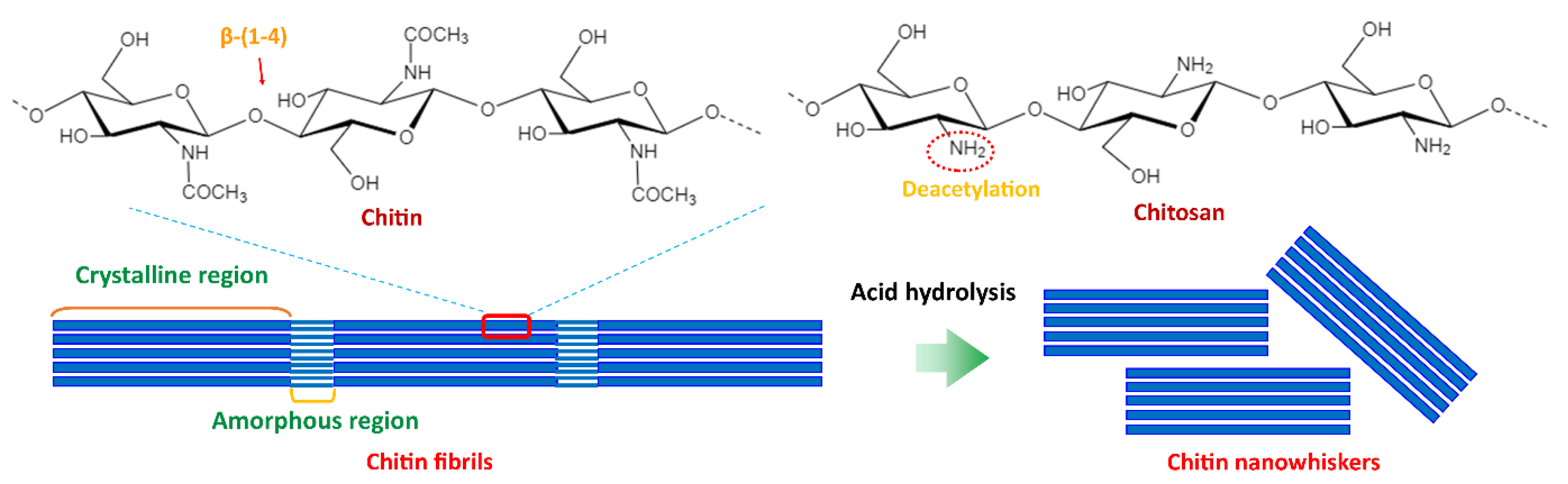 Polymers 14 04578 g008