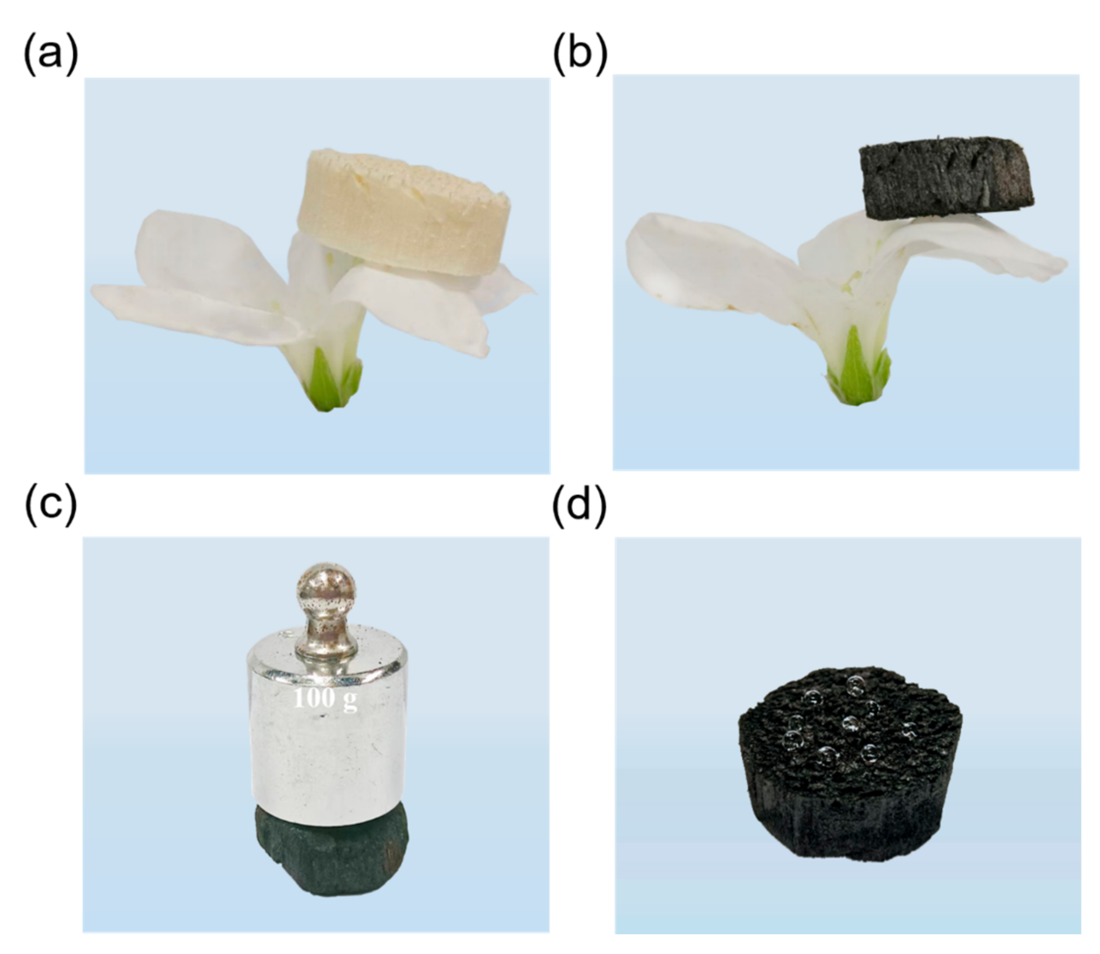 Polymers 14 04579 g002