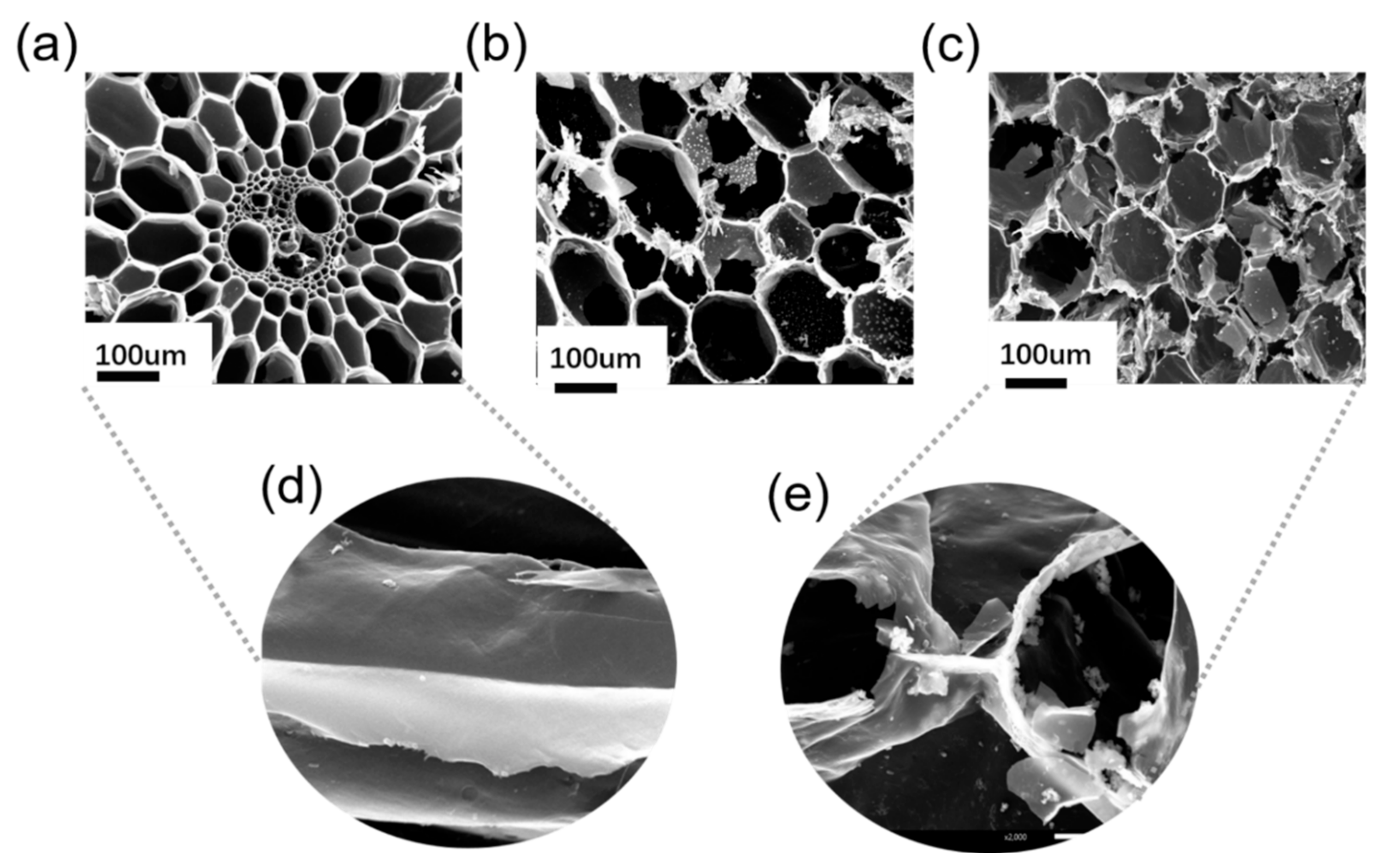 Polymers 14 04579 g006