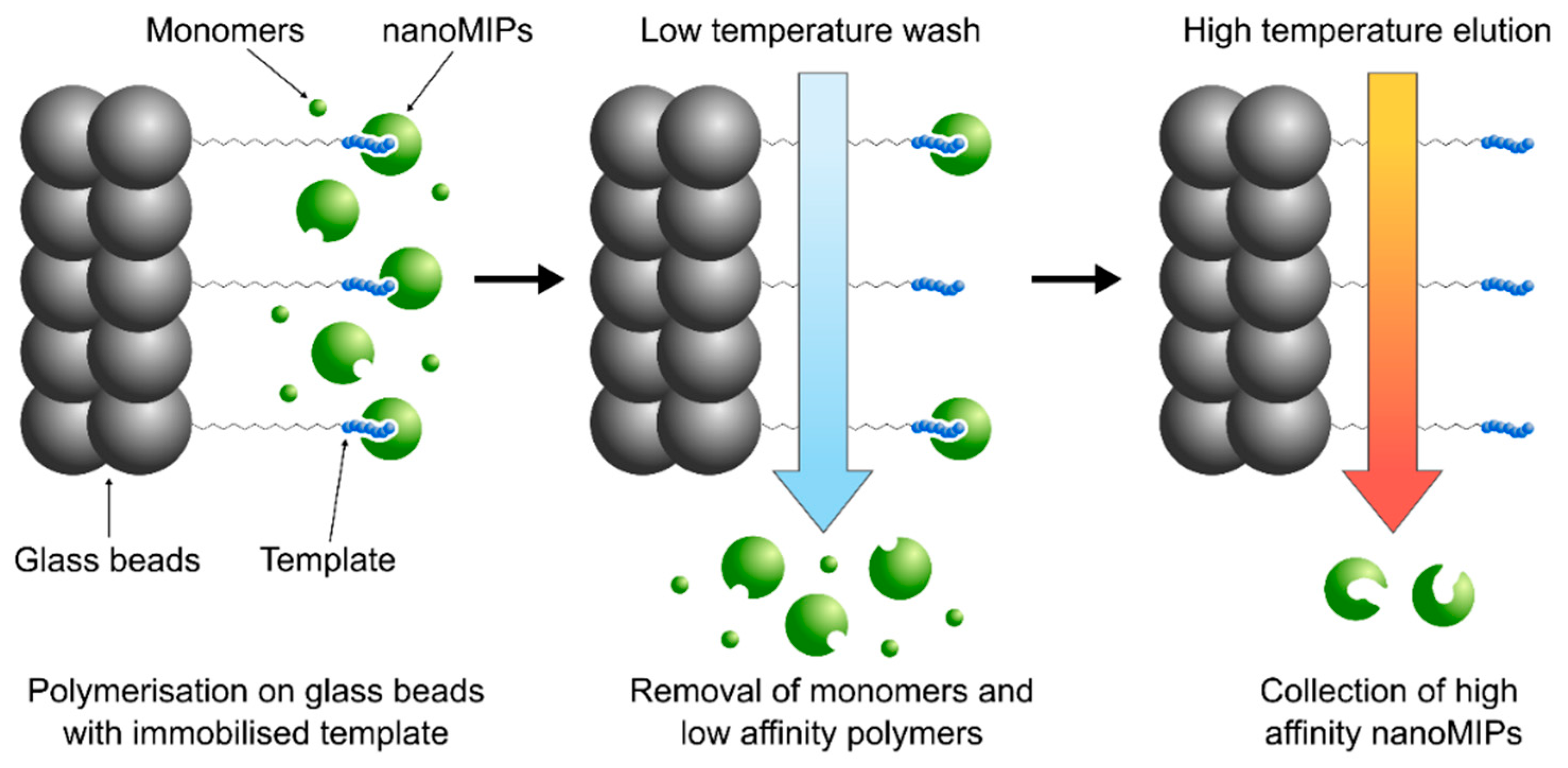 Polymers 14 04582 g001