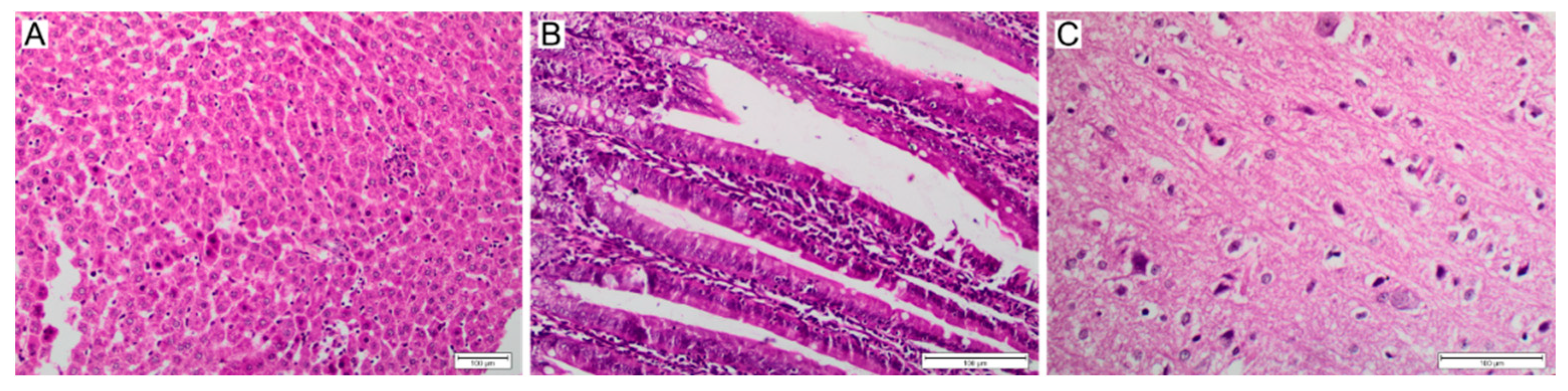 Polymers 14 04582 g008