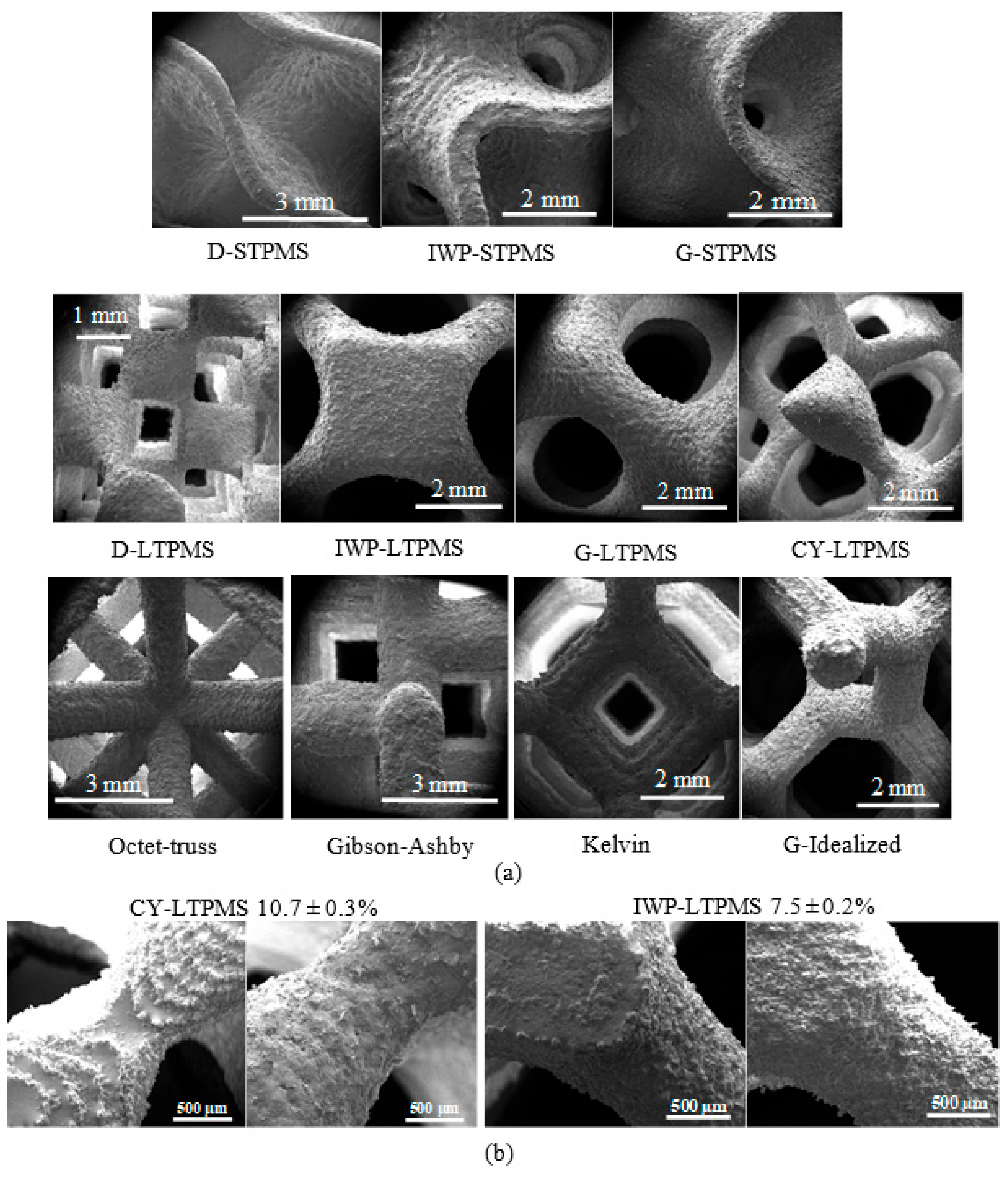 Polymers 14 04583 g005