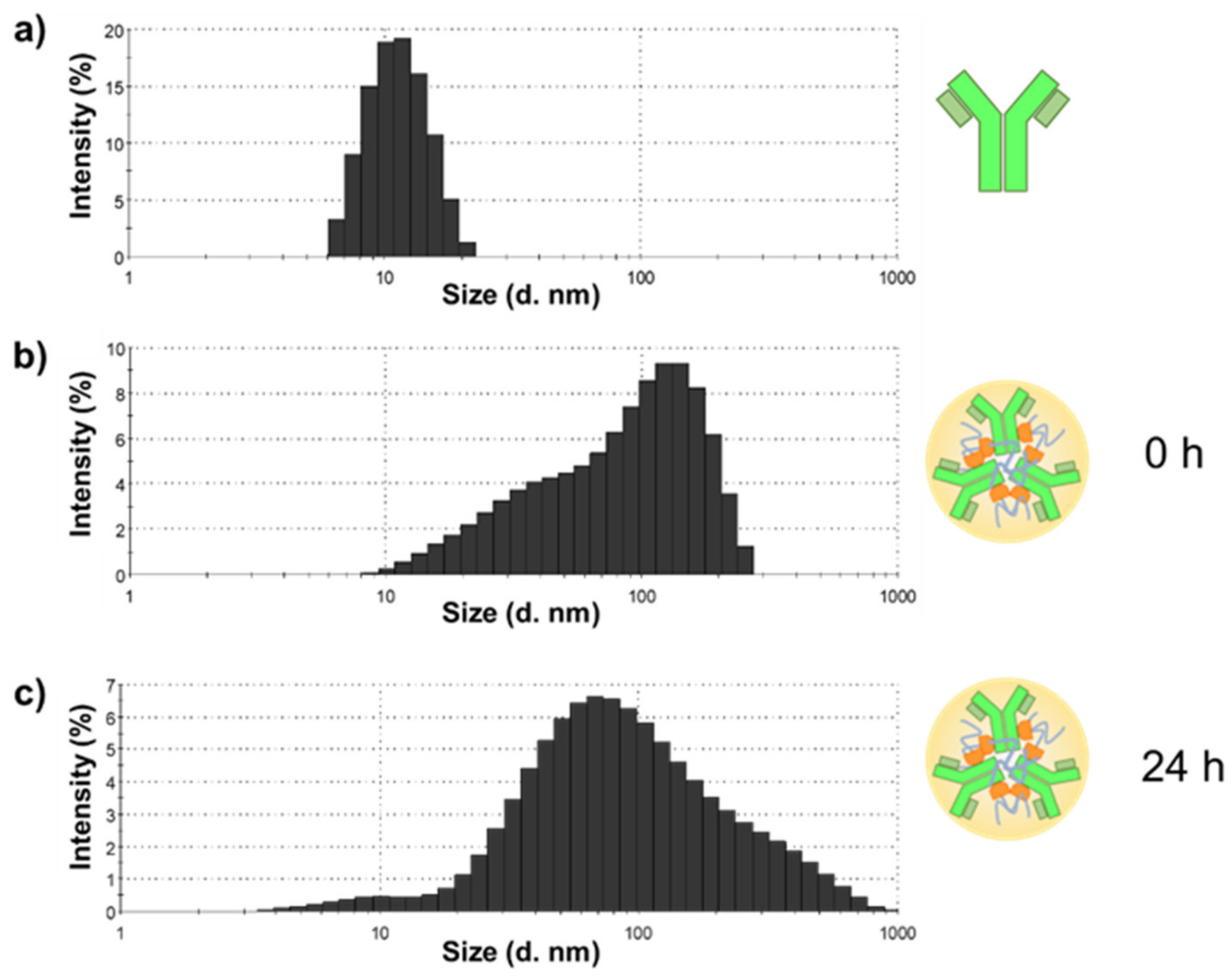 Polymers 14 04584 g004 Polymers 14 04584 g004