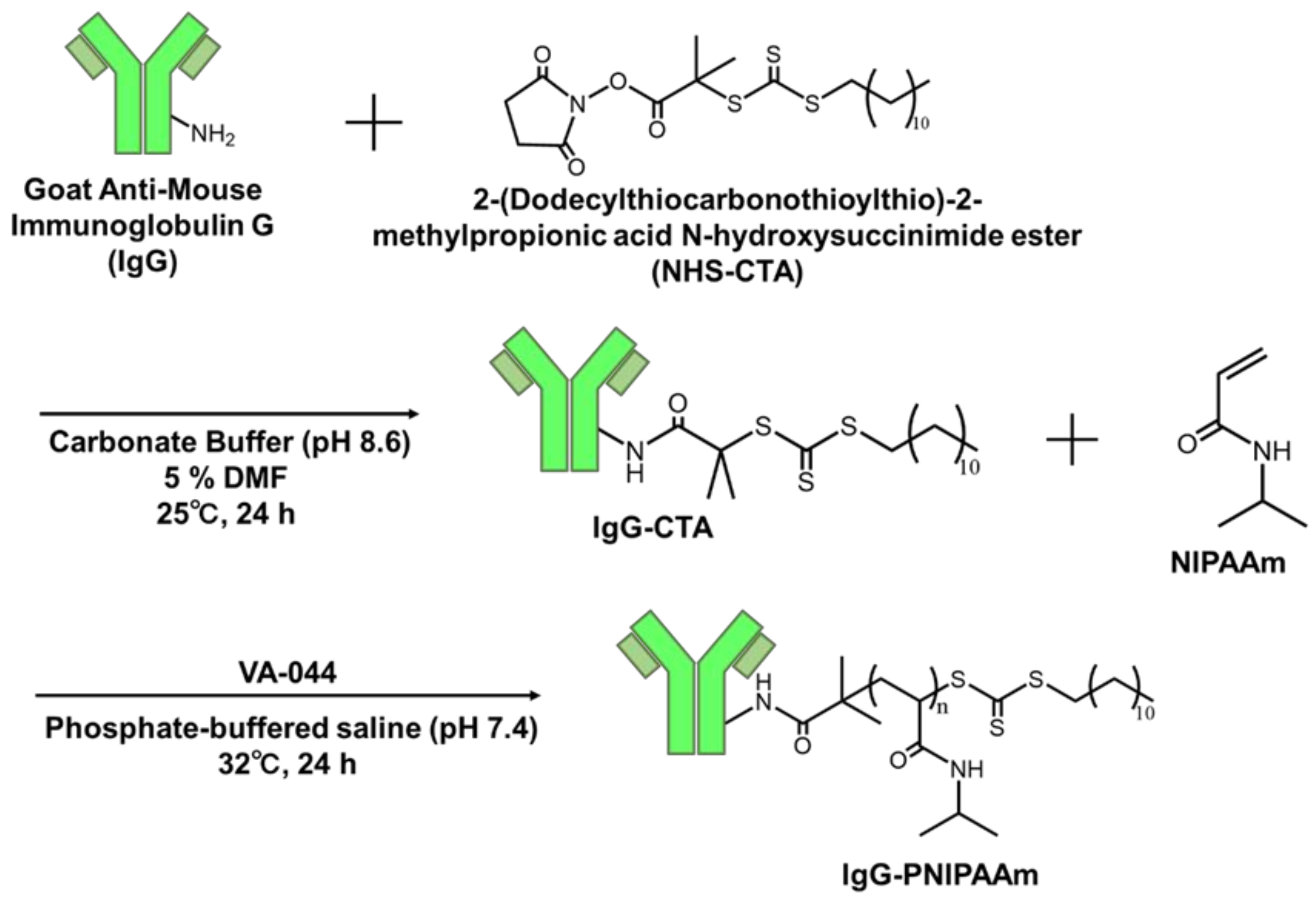 Polymers 14 04584 sch001 Polymers 14 04584 sch001