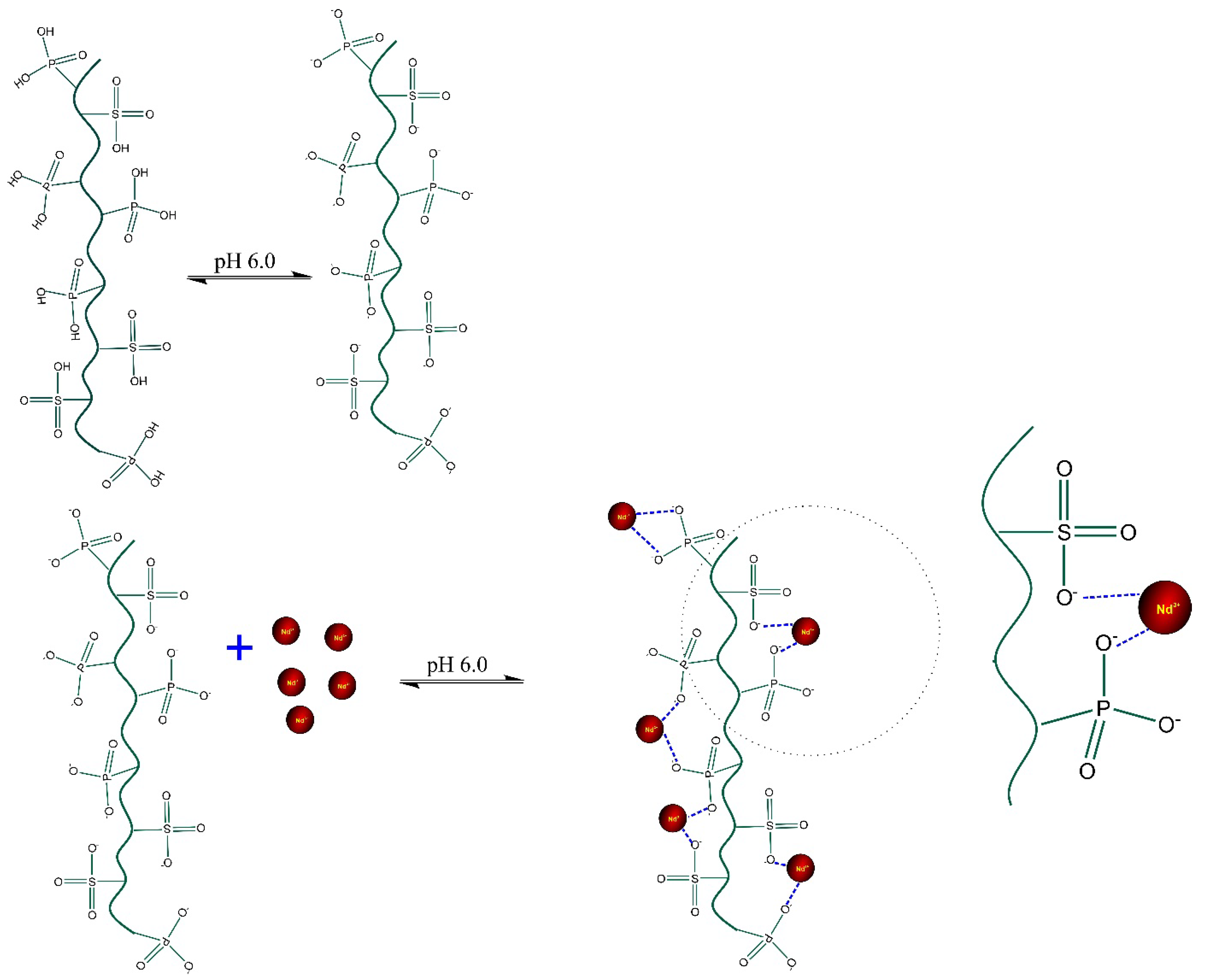 Polymers 14 04585 g007 Polymers 14 04585 g007
