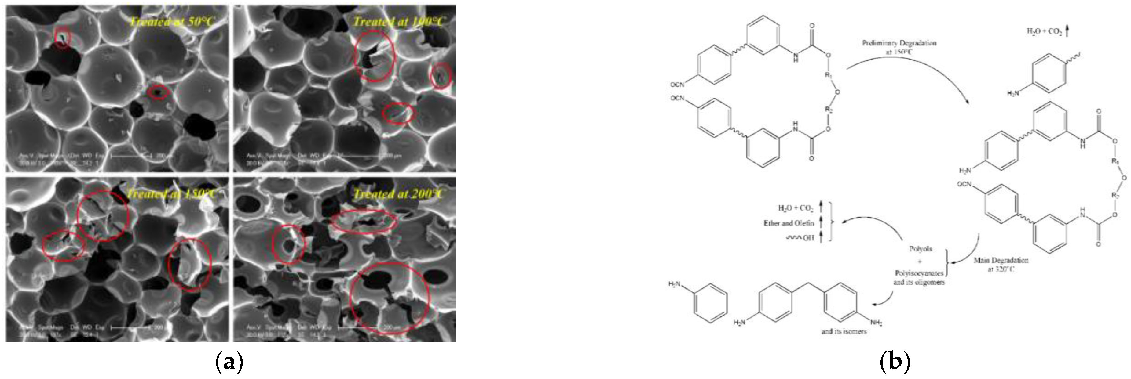 Polymers 14 04586 g006 Polymers 14 04586 g006