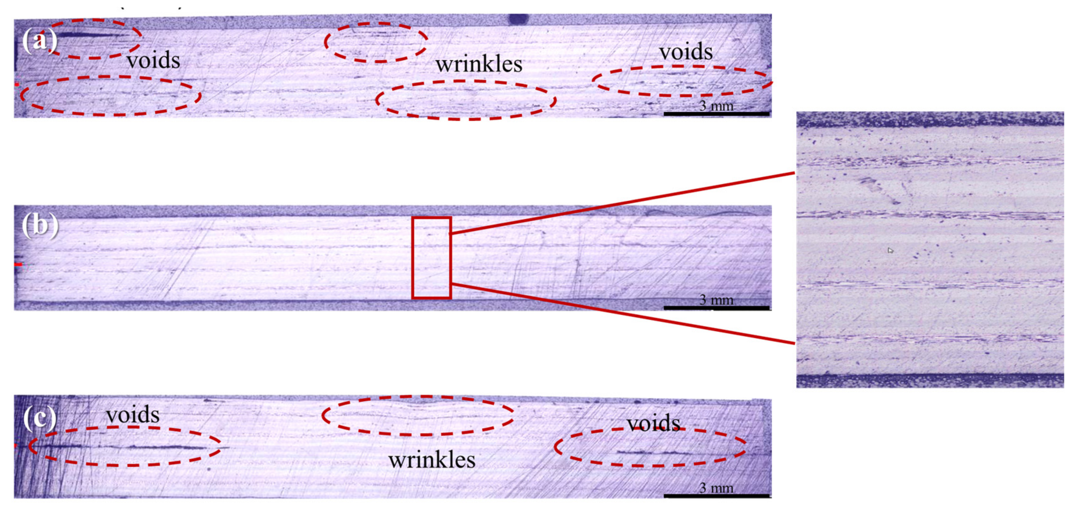 Polymers 14 04587 g005