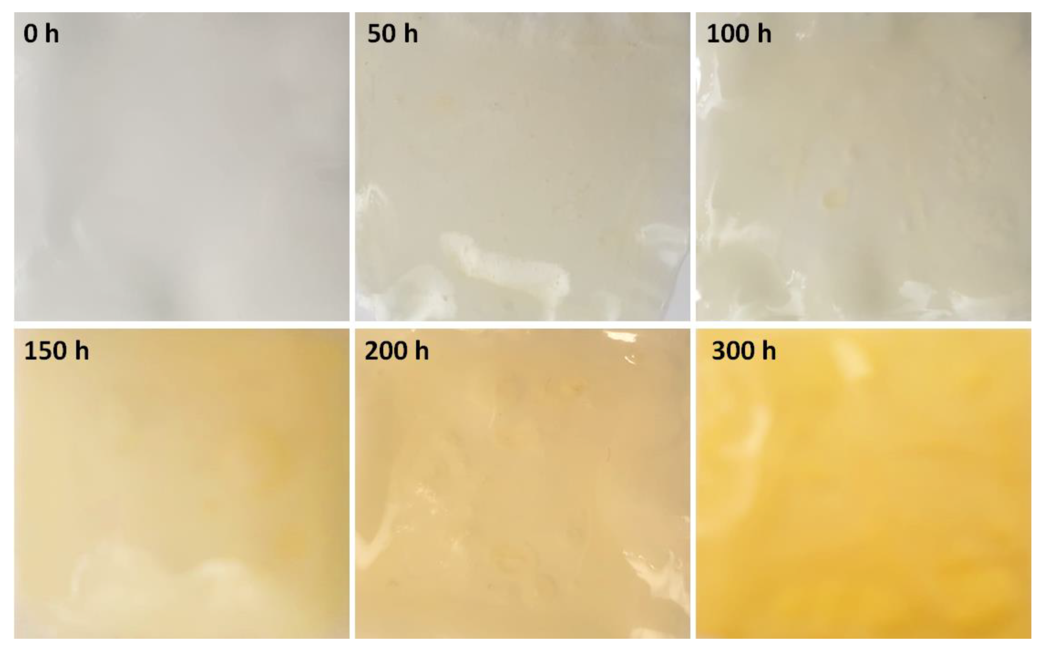 Polymers 14 04590 g002