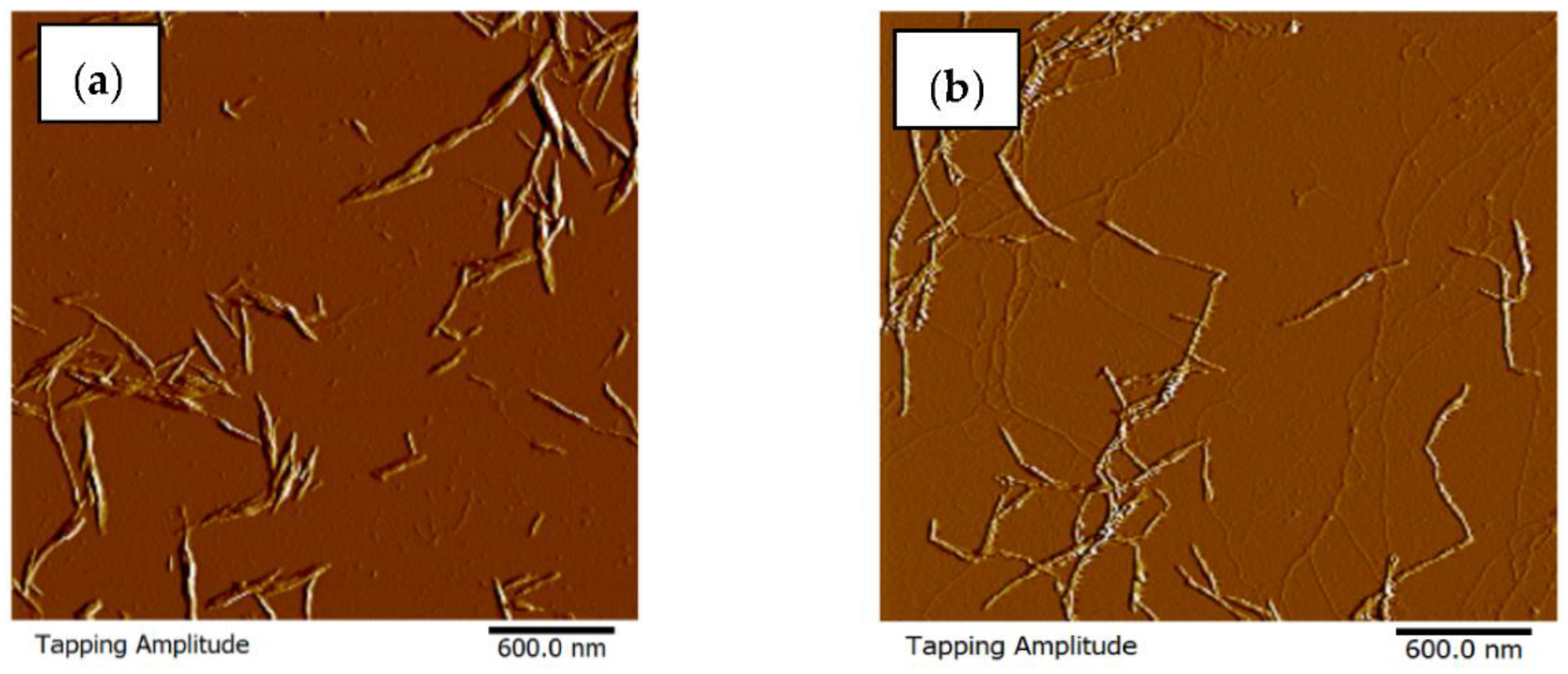 Polymers 14 04591 g002 Polymers 14 04591 g002