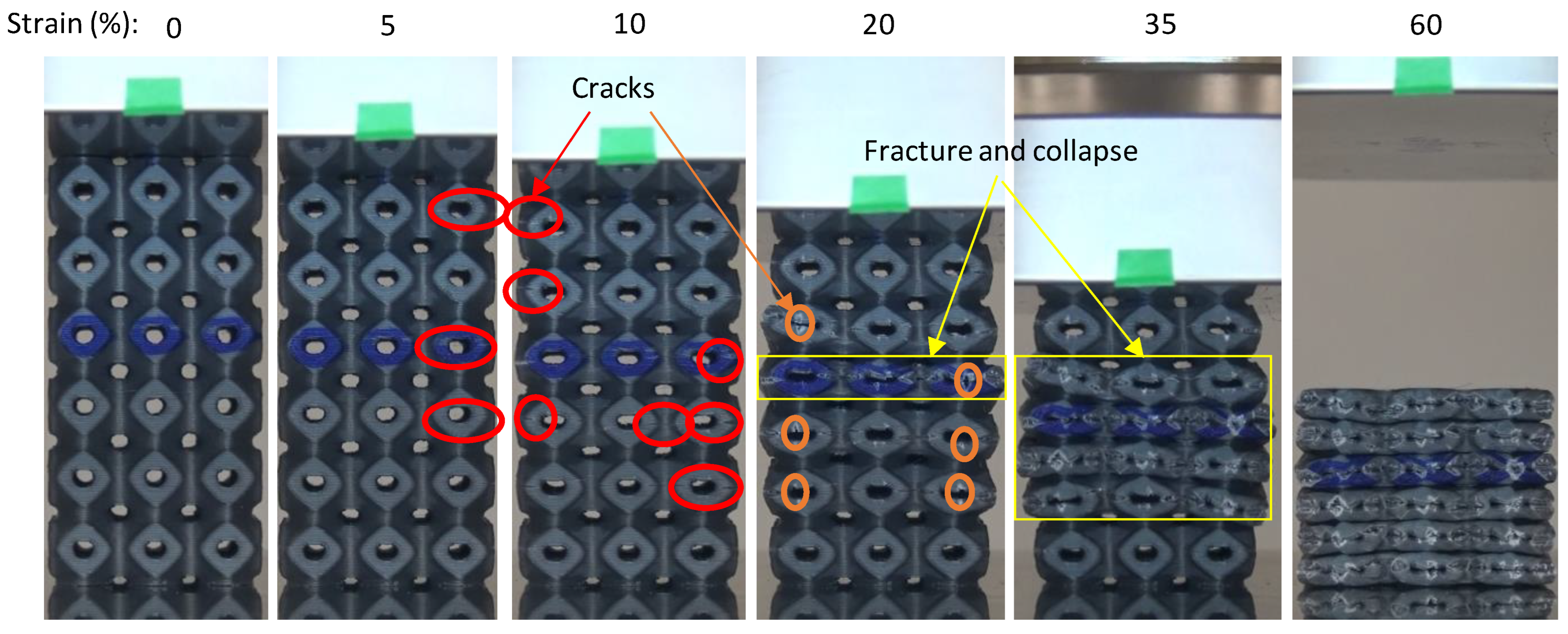 Polymers 14 04595 g012