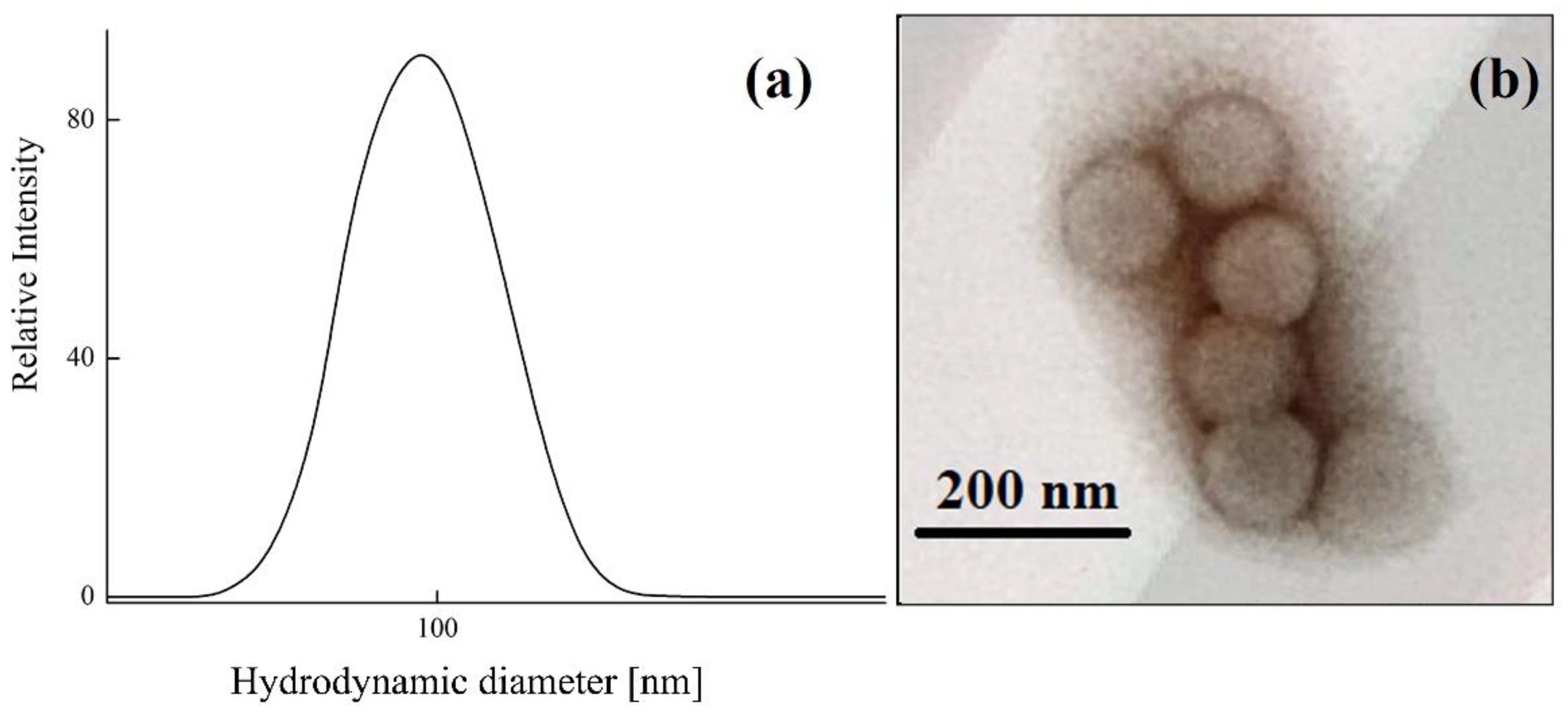 Polymers 14 04598 g001