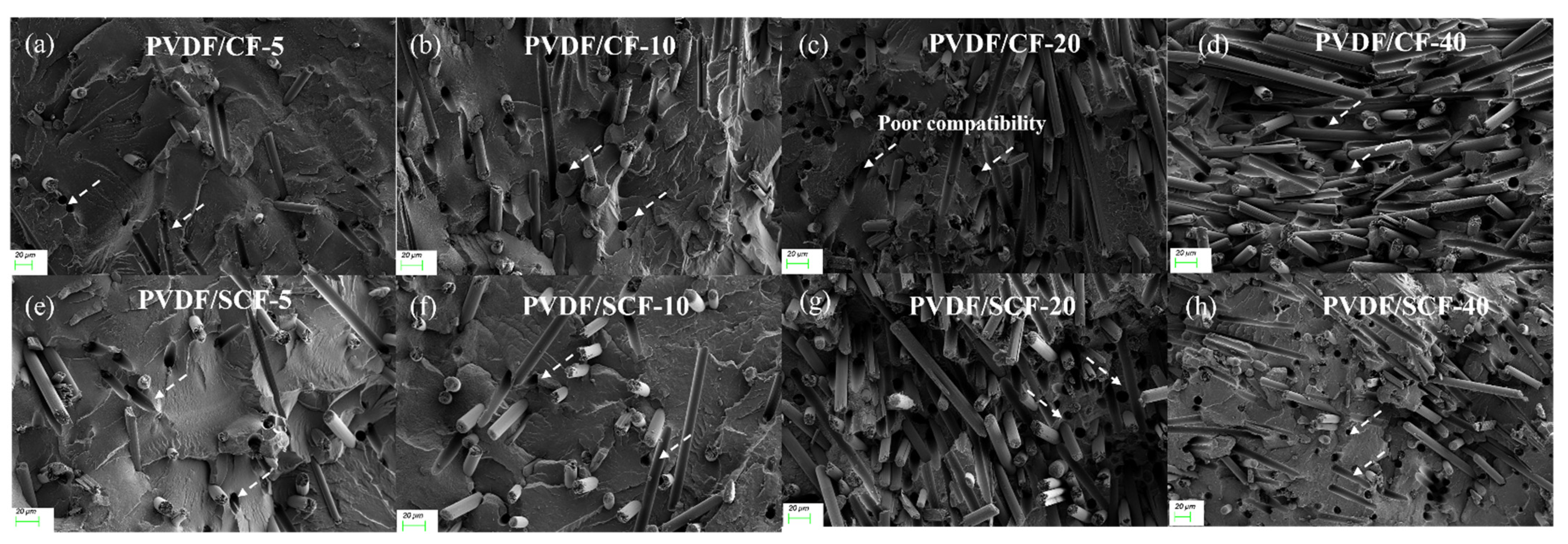 Polymers 14 04599 g003