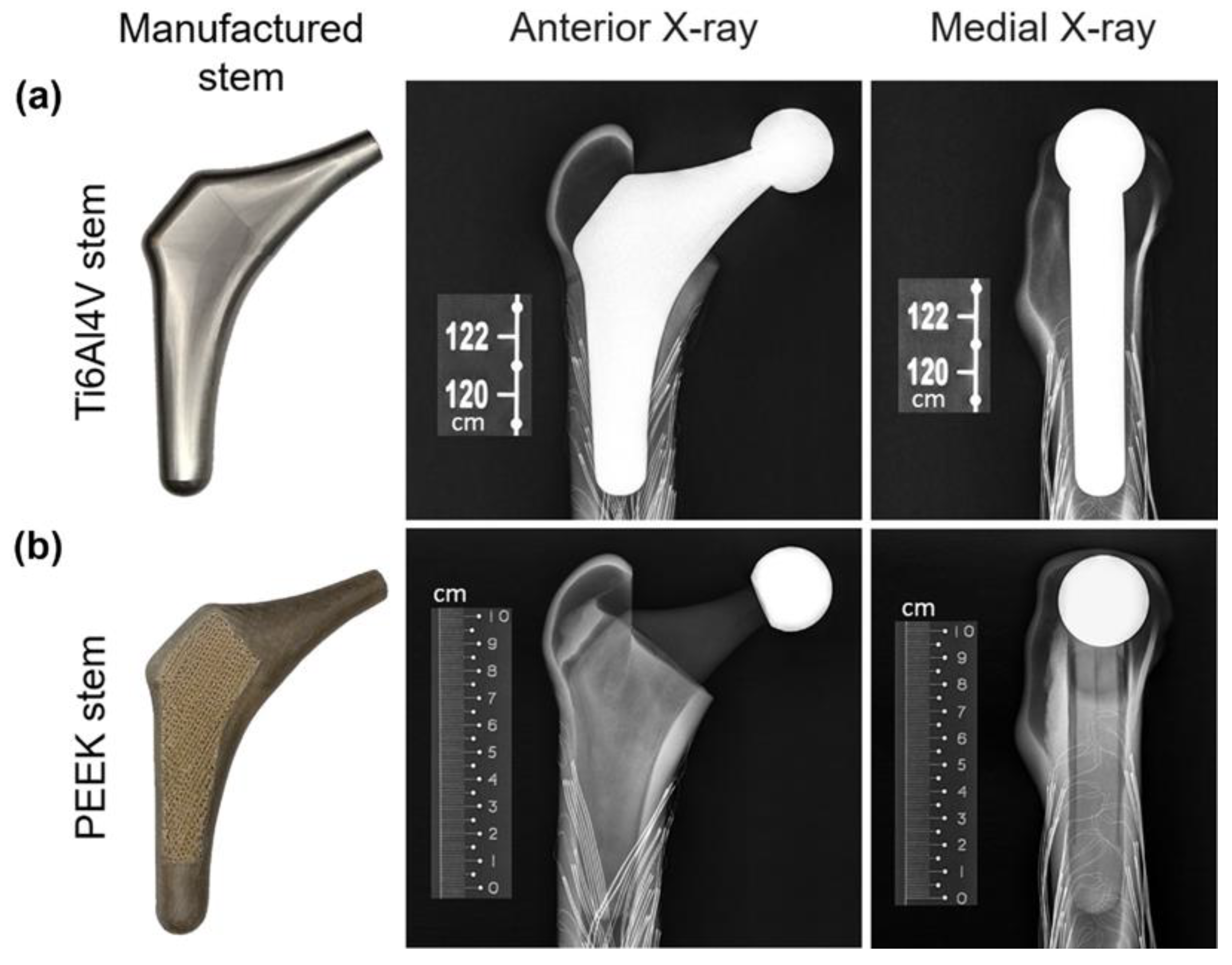 Polymers 14 04600 g004