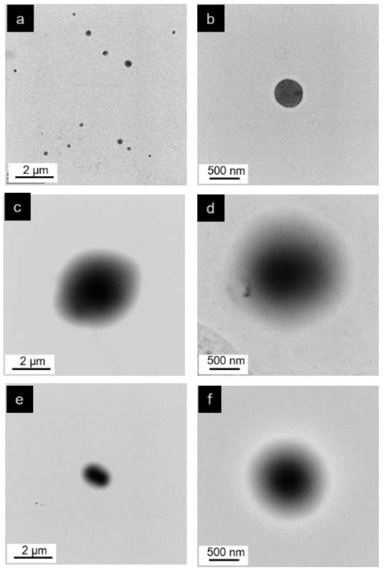 Polymers 14 04602 g005